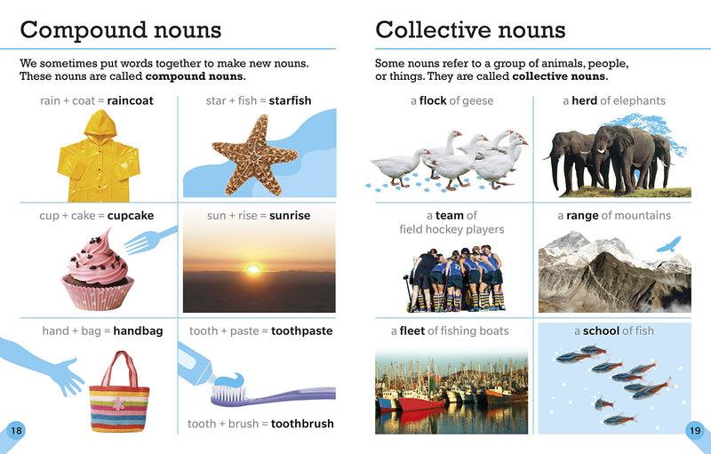 Visual Guide to Grammar and Punctuation,New
