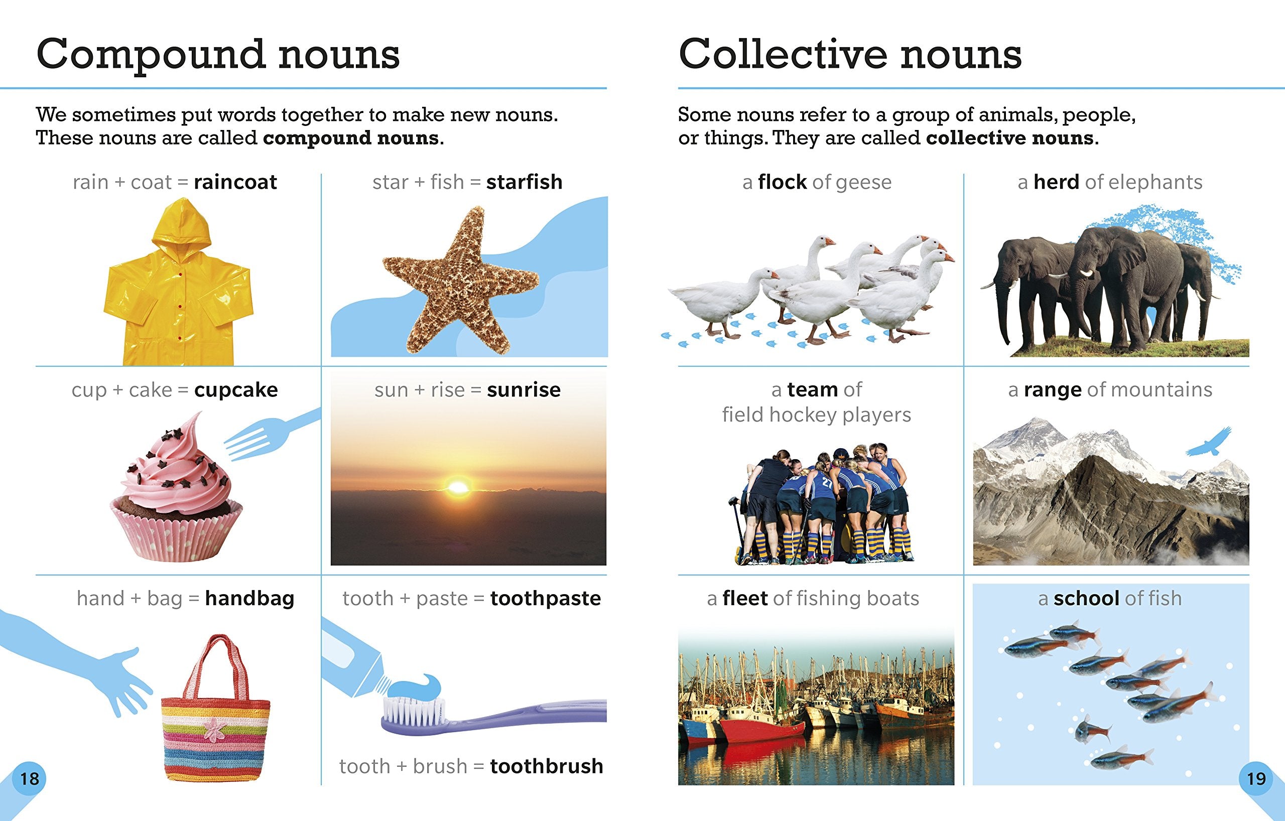 Visual Guide to Grammar and Punctuation,Used