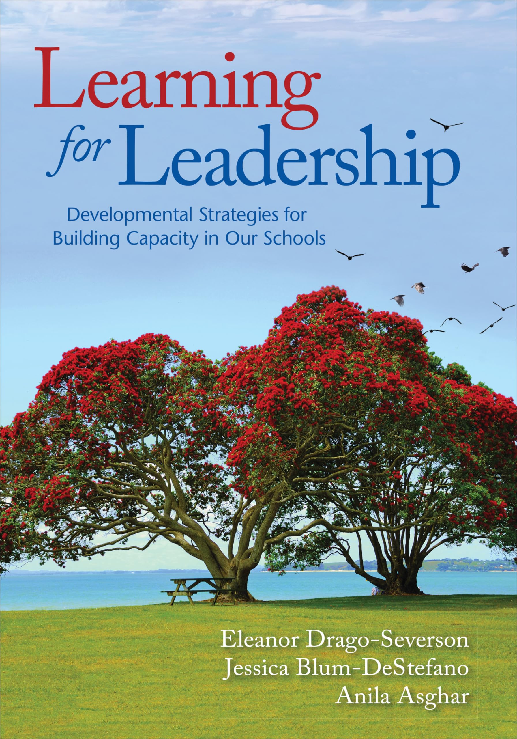 Learning For Leadership: Developmental Strategies For Building Capacity In Our Schools