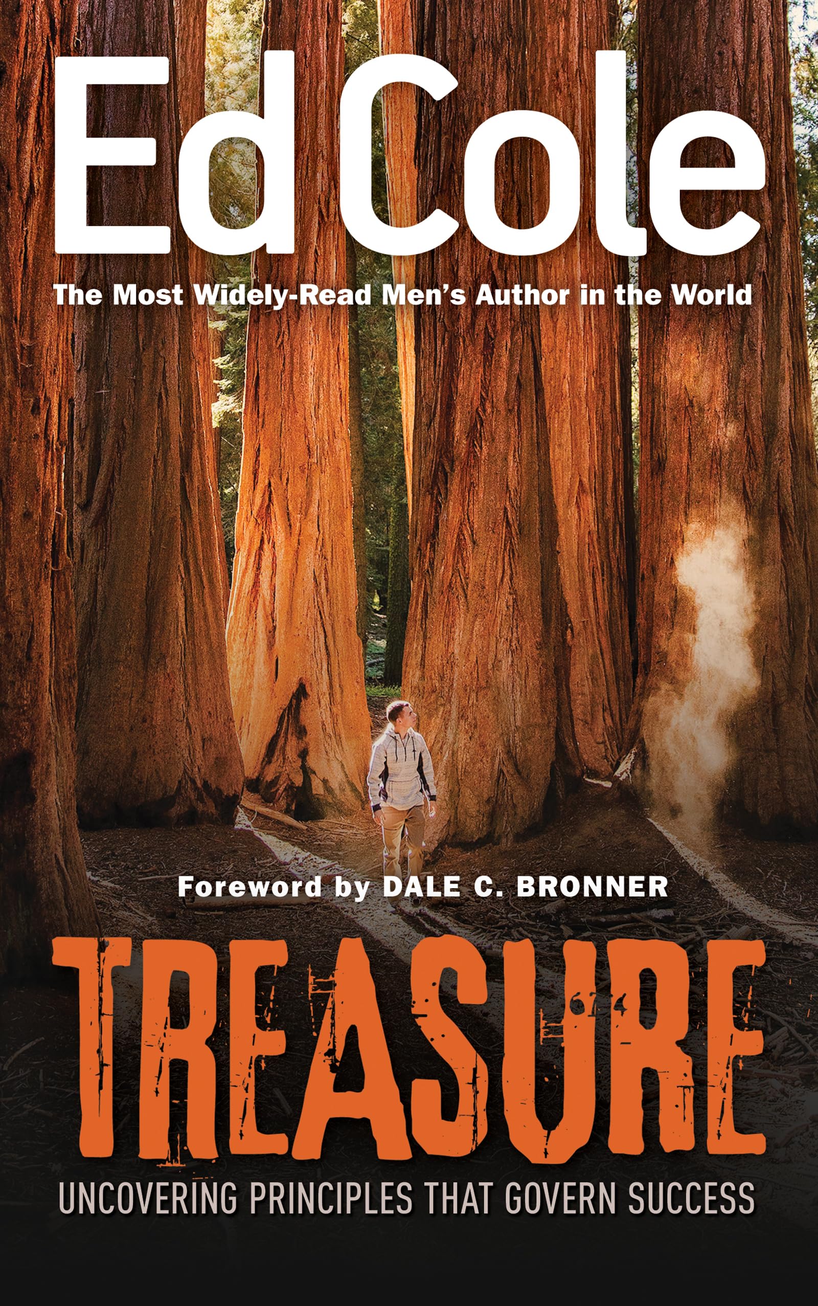 Treasure: Uncovering Principles That Govern Success,Used