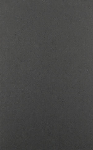 The Little Magazine in Contemporary America,Used