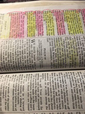 Amplified Bible, Large Print,Used