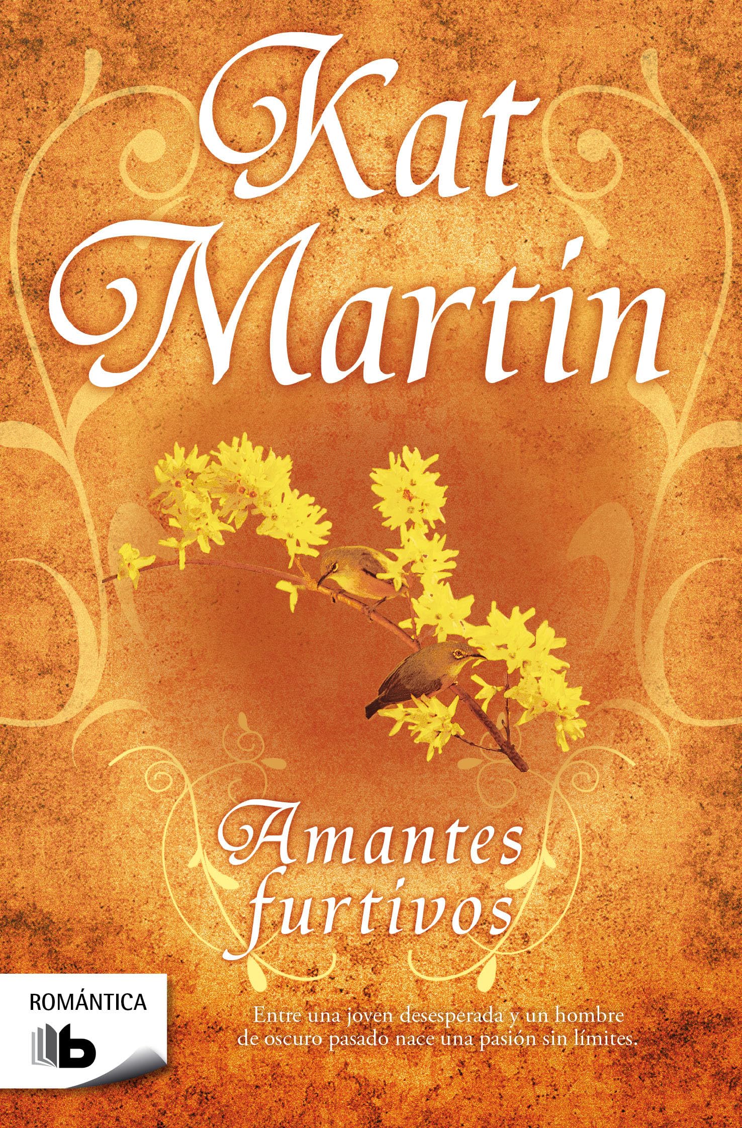 Amantes furtivos (Romantica) (Spanish Edition),Used