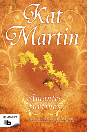 Amantes furtivos (Romantica) (Spanish Edition),Used