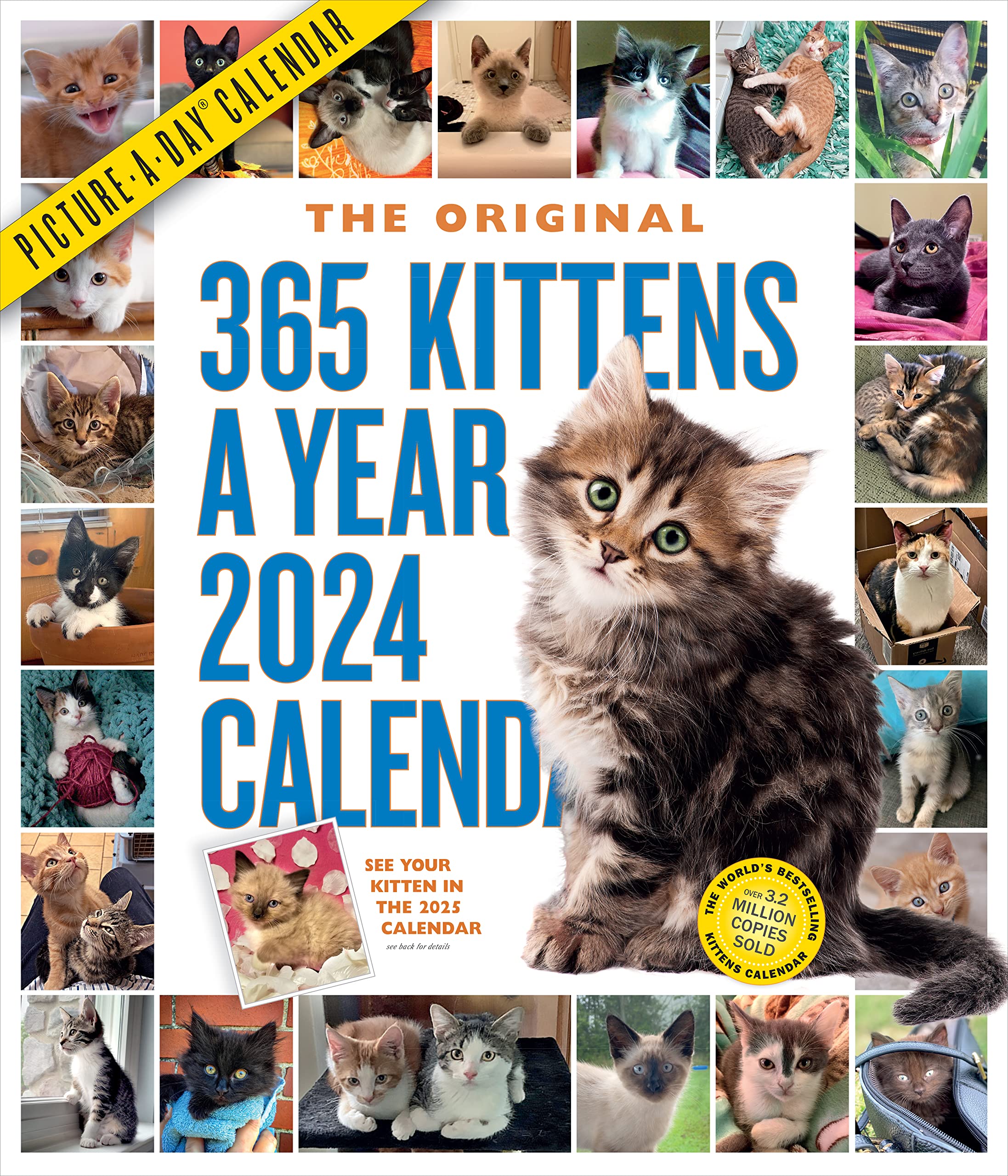 365 Kittensayear Pictureaday Wall Calendar 2024: Absolutely Spilling Over With Kittens