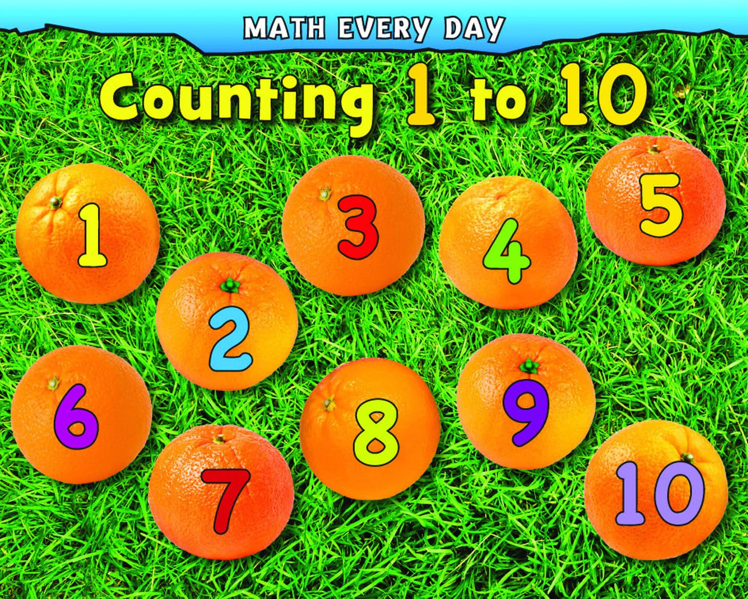 Counting 1 to 10 (Math Every Day),Used