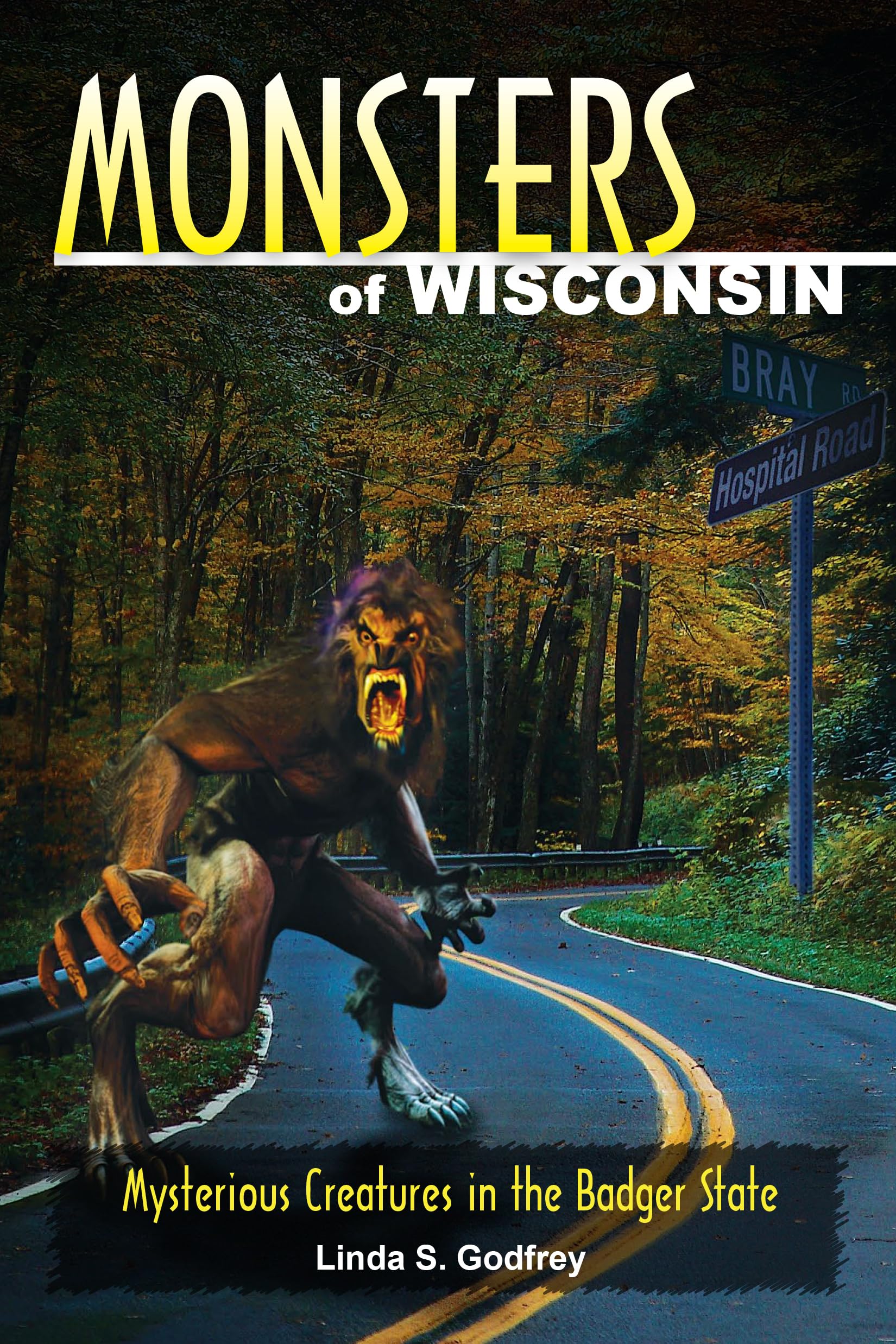 Monsters of Wisconsin: Mysterious Creatures in the Badger State,Used