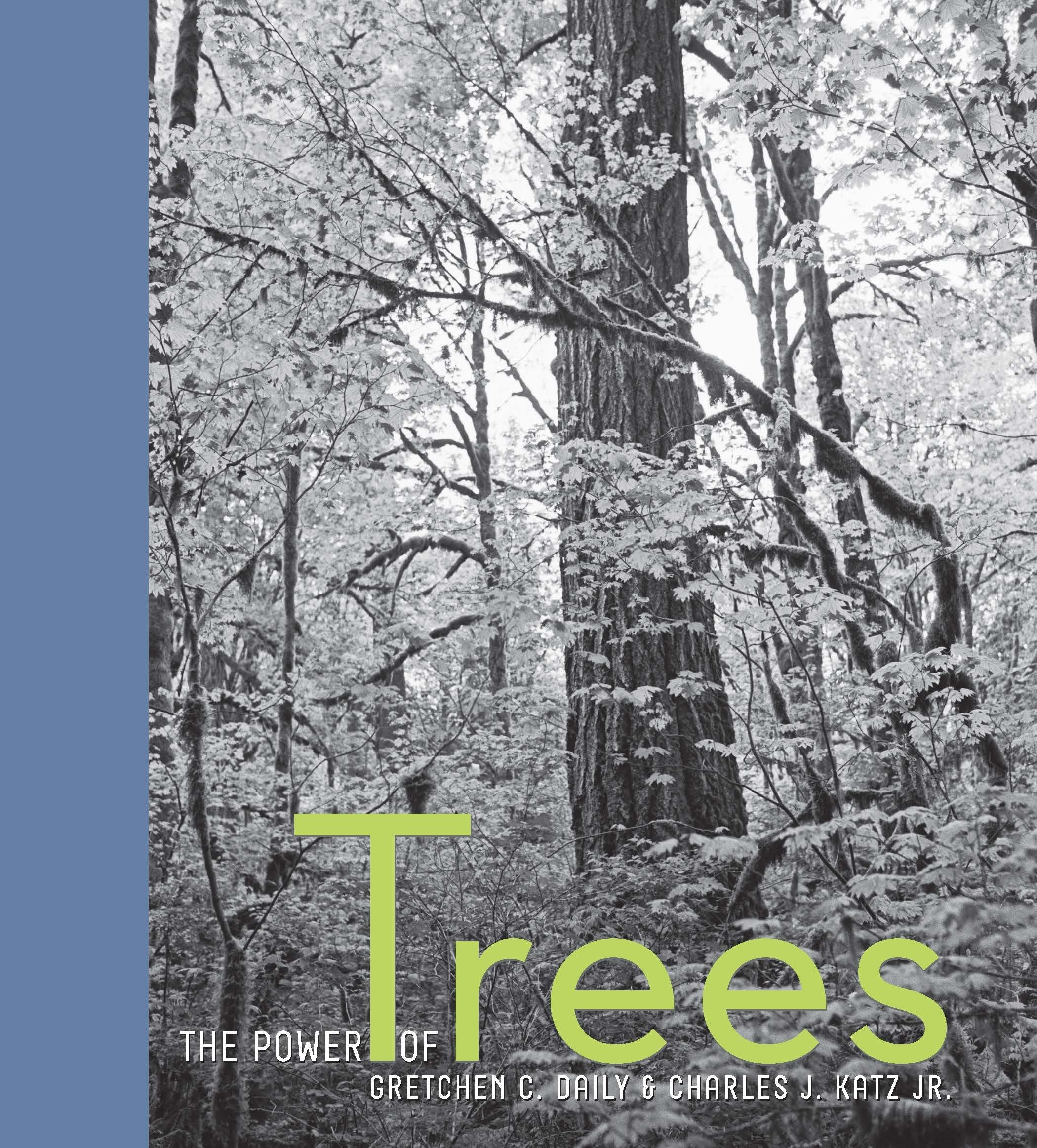 The Power of Trees,Used