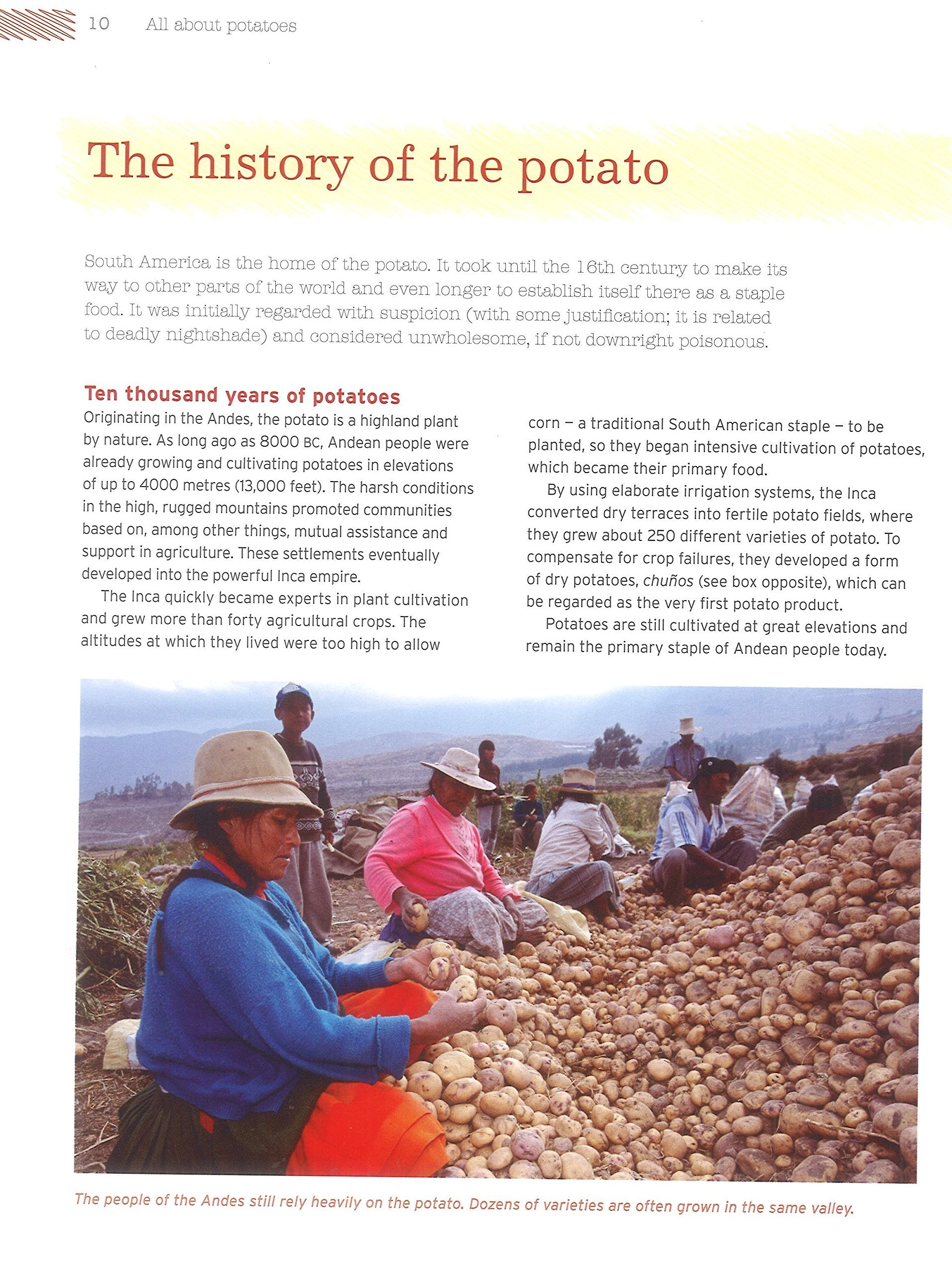 The Great Potato Cookbook,Used