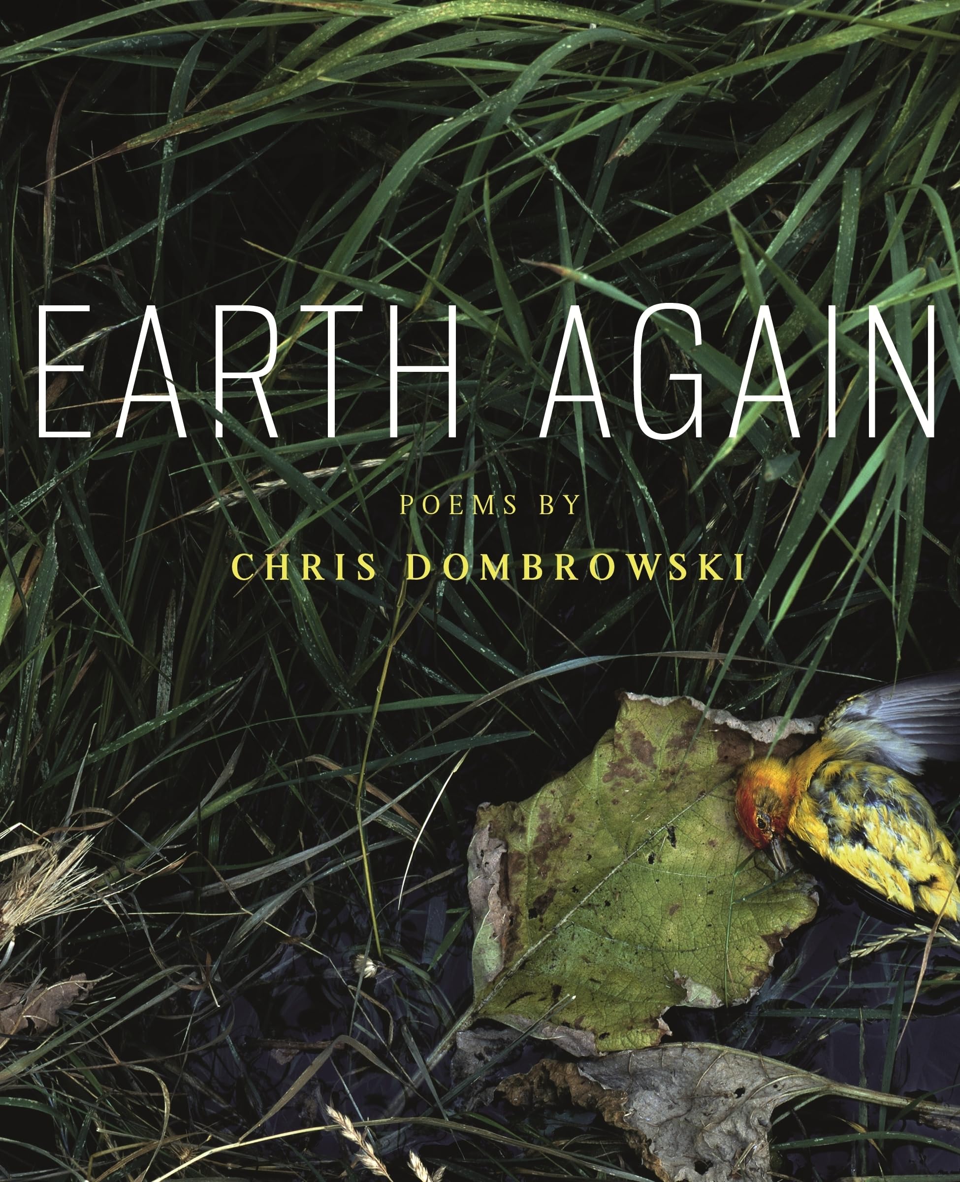Earth Again (Made In Michigan Writer Series),New