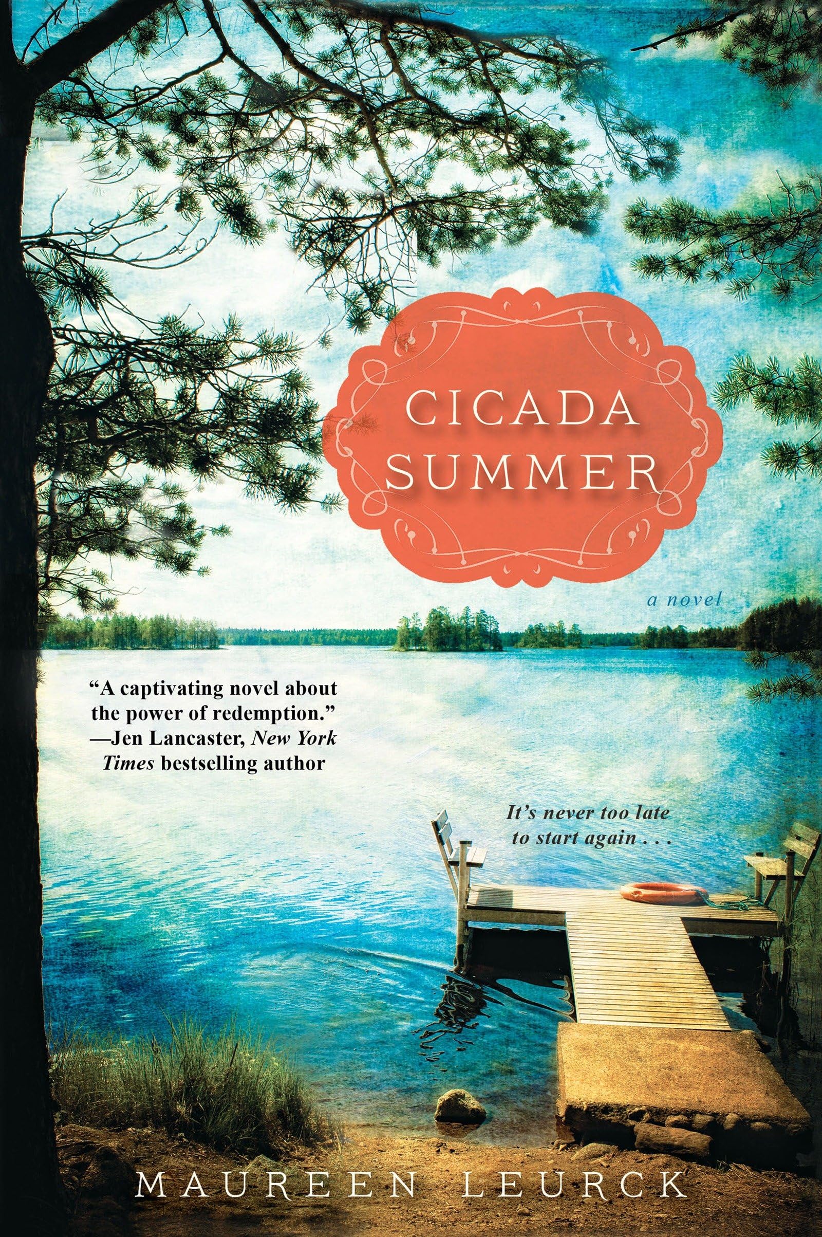 Cicada Summer,Used