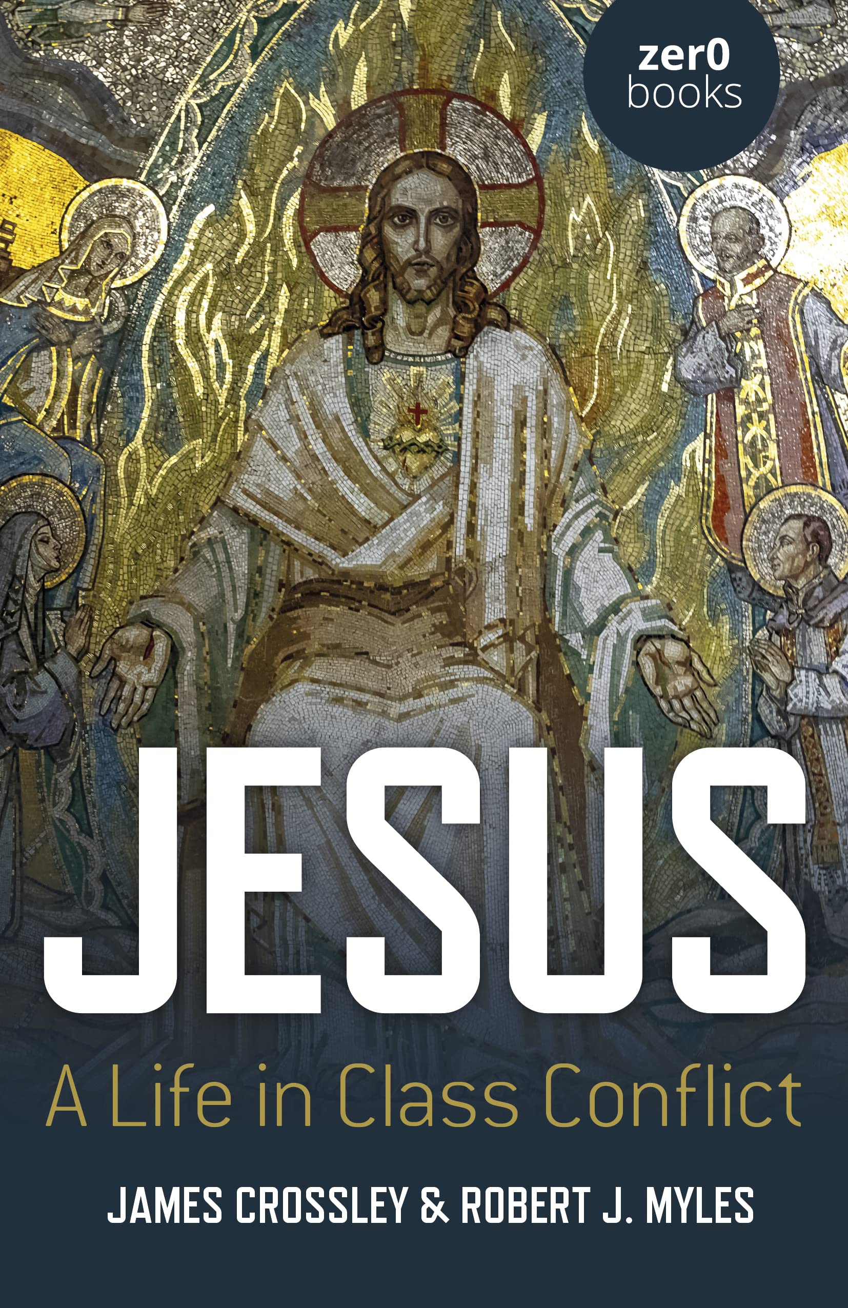 Jesus: A Life In Class Conflict,Used