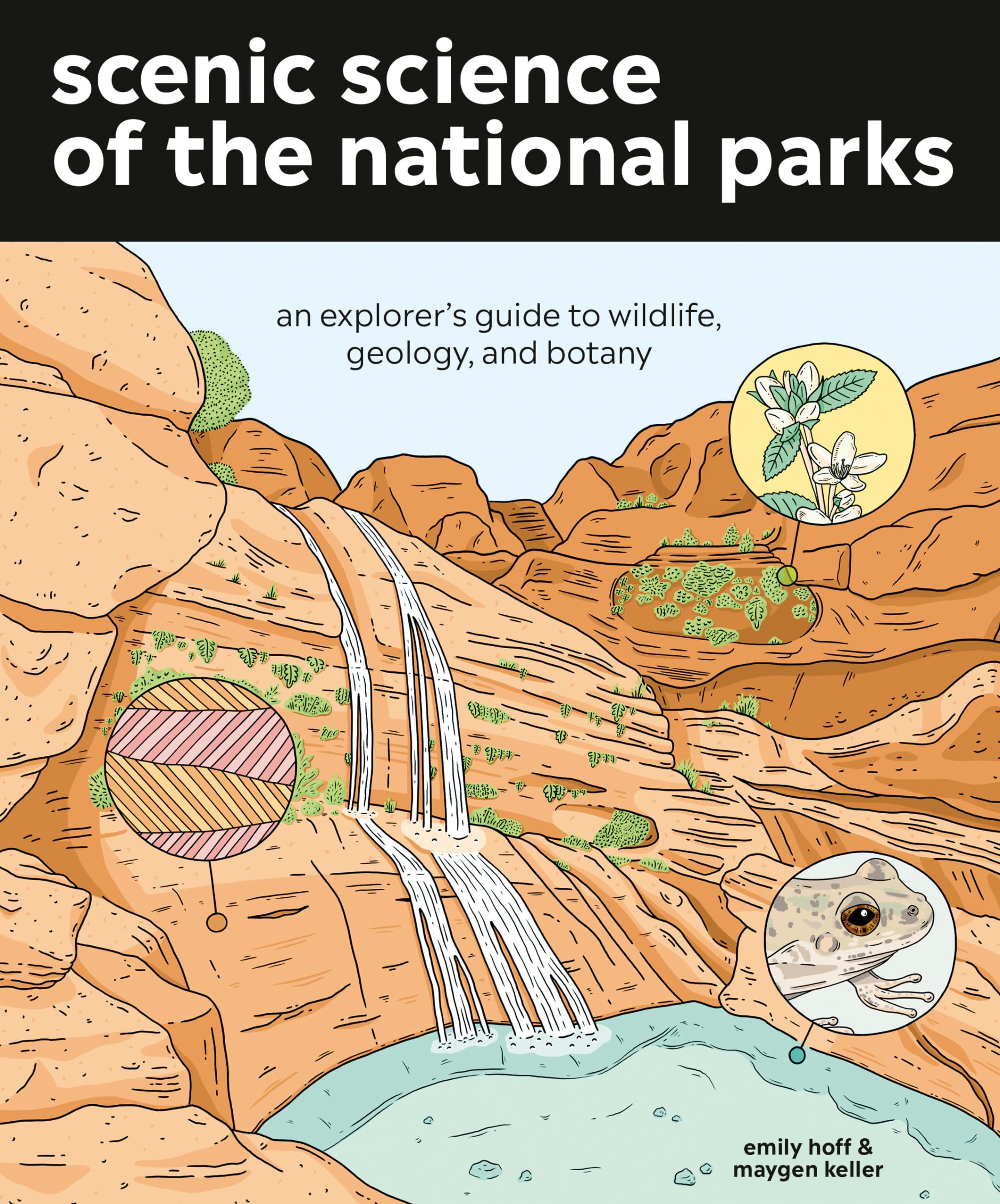 Scenic Science Of The National Parks: An Explorer'S Guide To Wildlife, Geology, And Botany