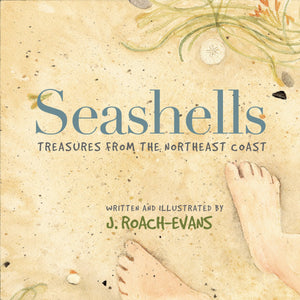 Seashells: Treasures From The Northeast Coast,Used