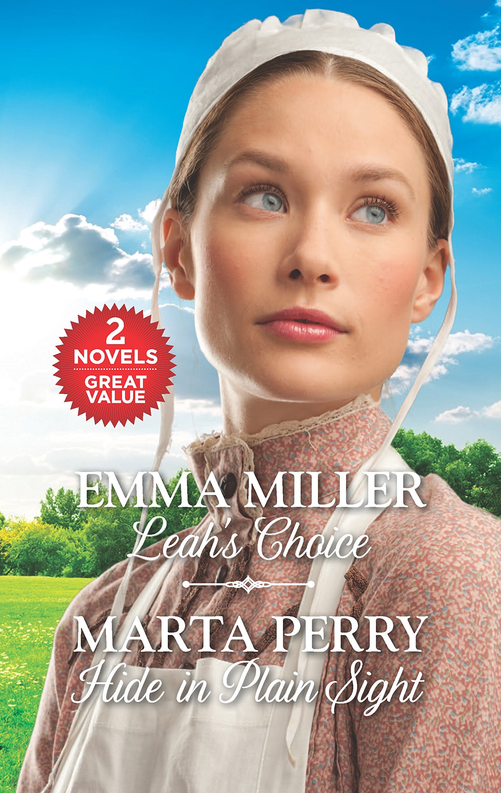 Leah's Choice and Hide in Plain Sight: An Anthology,Used