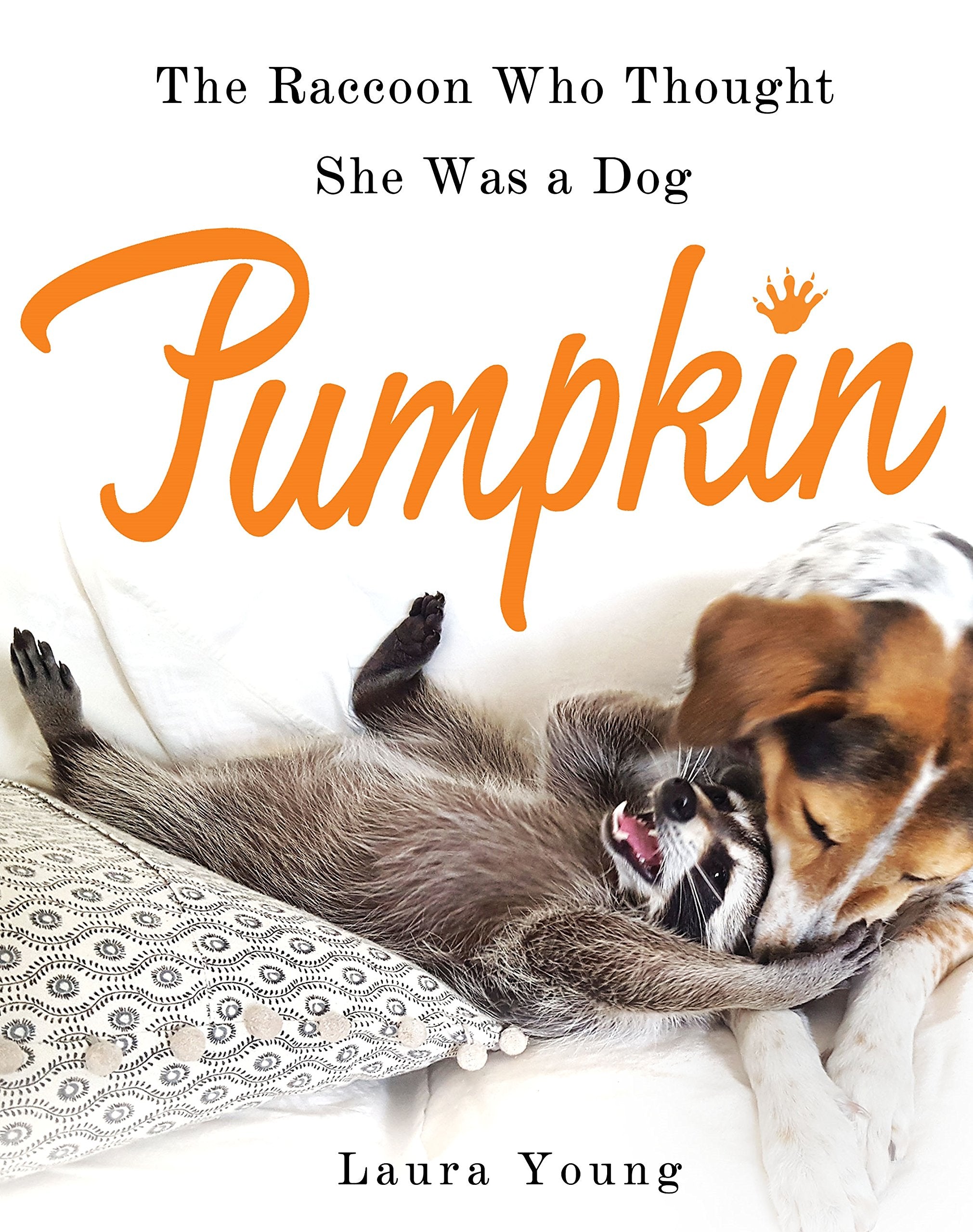 Pumpkin: The Raccoon Who Thought She Was a Dog,Used
