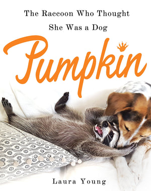 Pumpkin: The Raccoon Who Thought She Was a Dog,Used