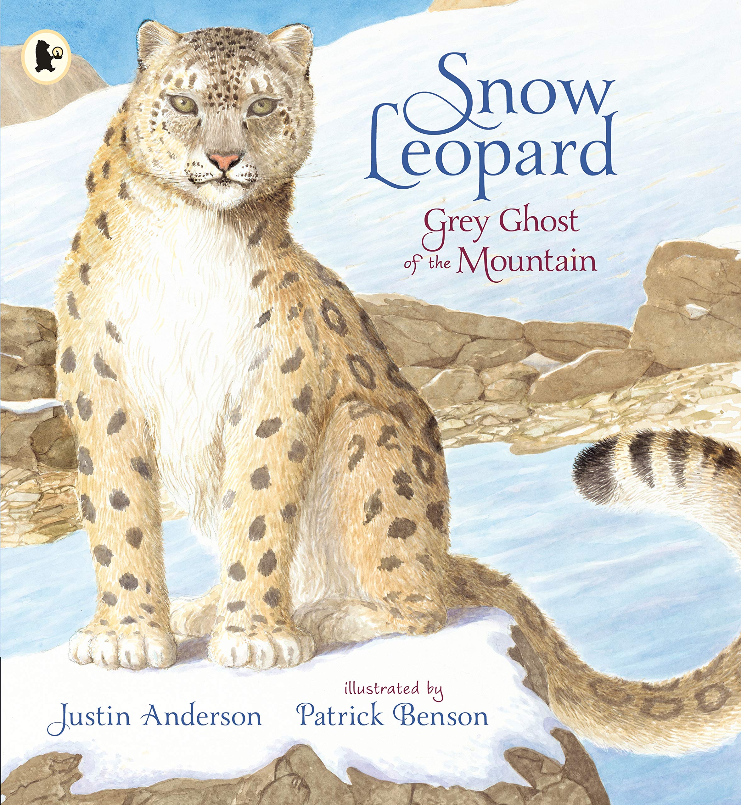 Snow Leopard: Grey Ghost of the Mountain (Nature Storybooks),Used