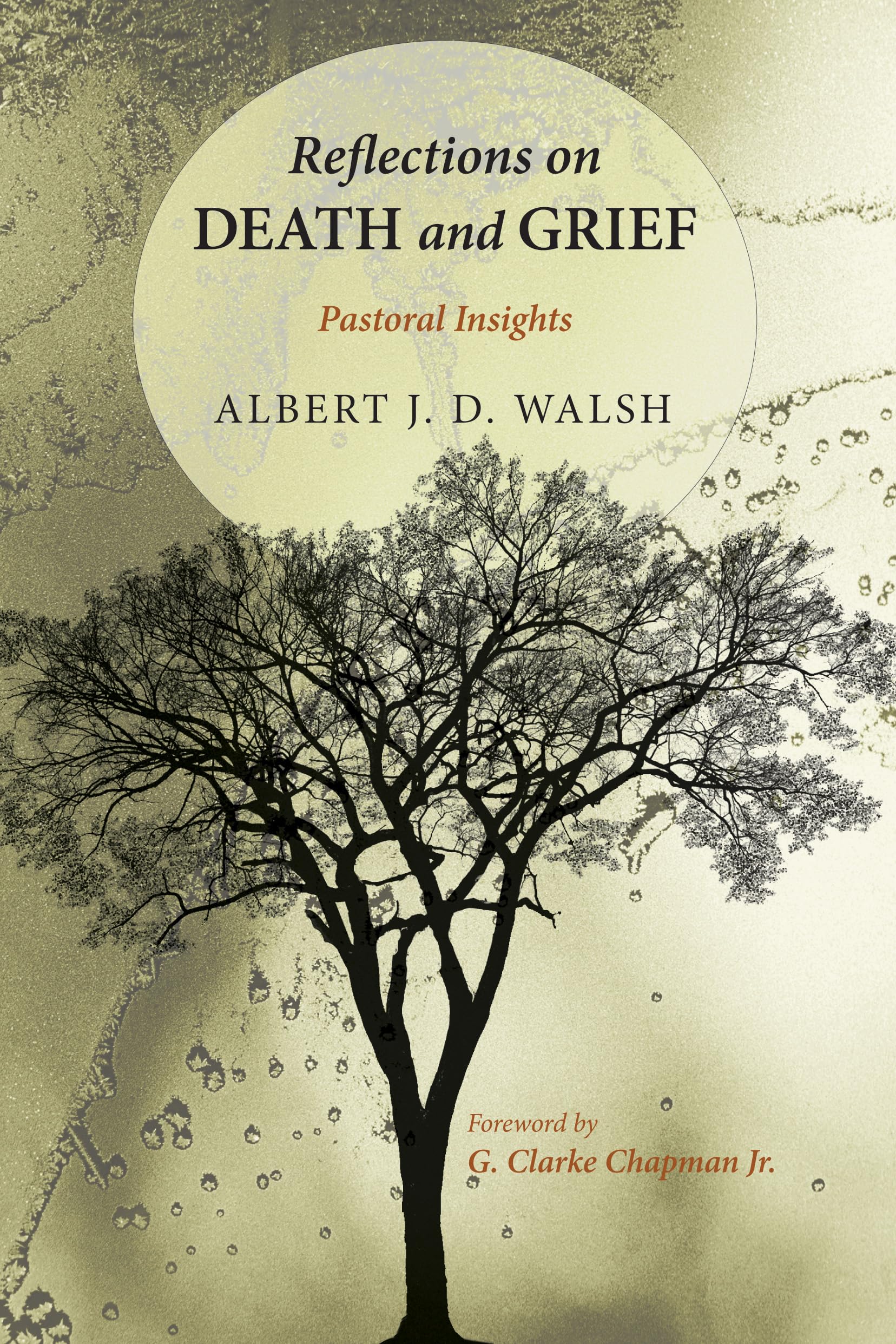 Reflections On Death And Grief: Pastoral Insights,Used