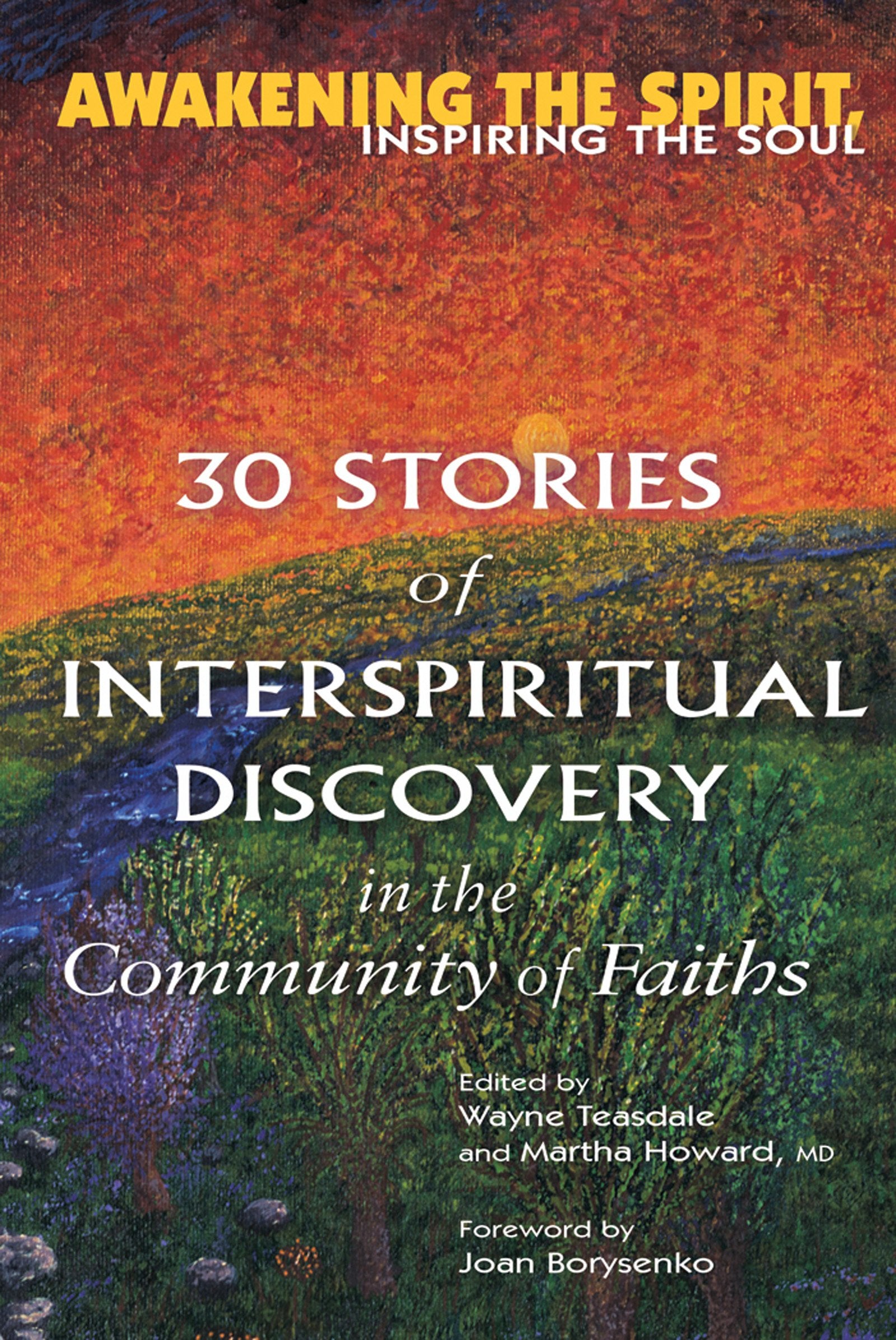 Awakening the Spirit, Inspiring the Soul: 30 Stories of Interspiritual Discovery in the Community of Faiths,Used