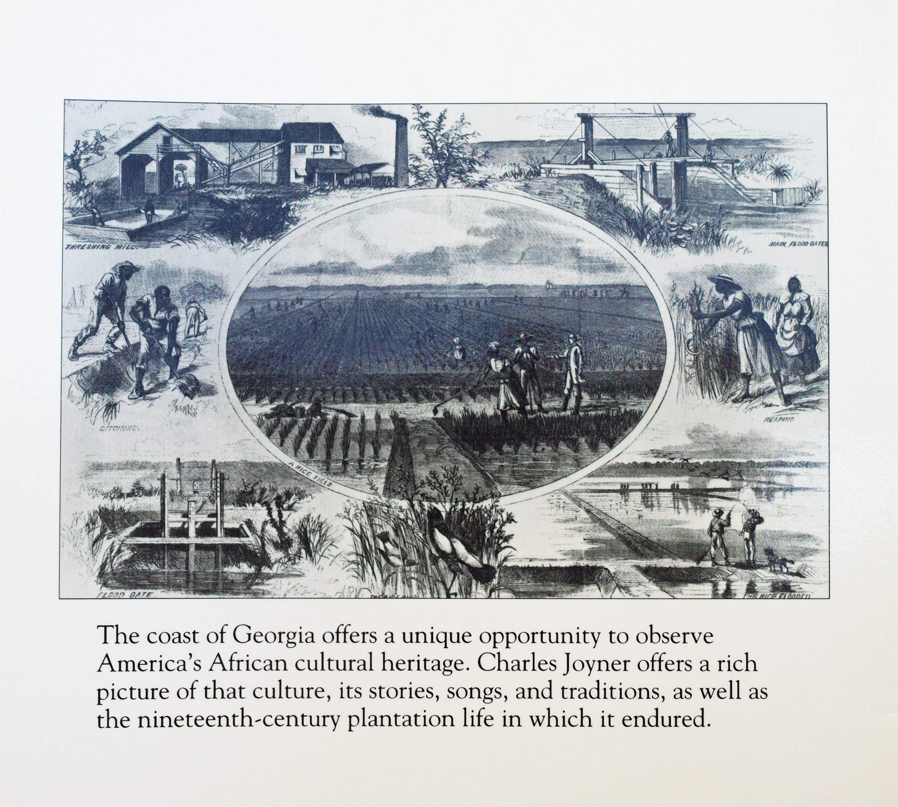 Remember Me: Slave Life in Coastal Georgia (Georgia History and Culture Series),Used