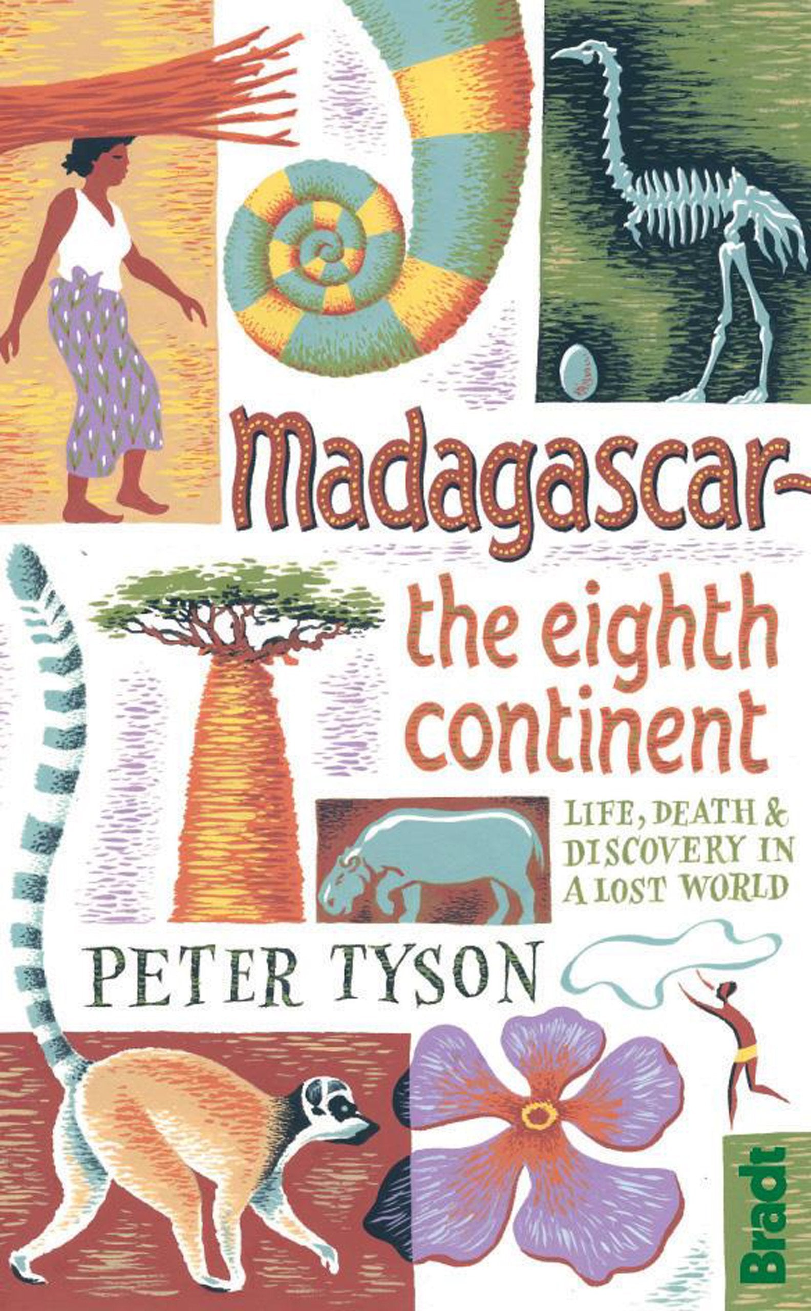 Madagascar: The Eighth Continent (Bradt Travel Guides),Used