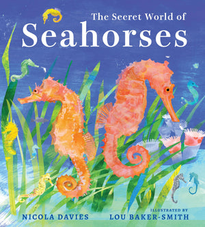 The Secret World Of Seahorses