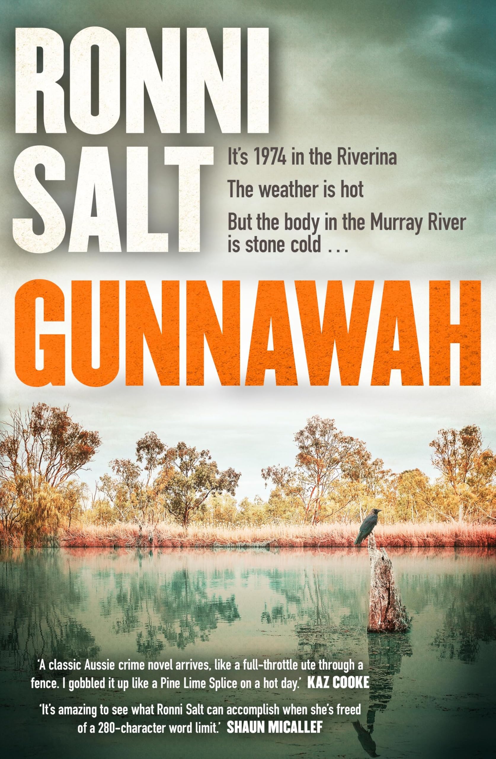 Gunnawah: A Captivating And Compulsive Crime Thriller About Guns, Drugs And A Young Woman Dead On The Money