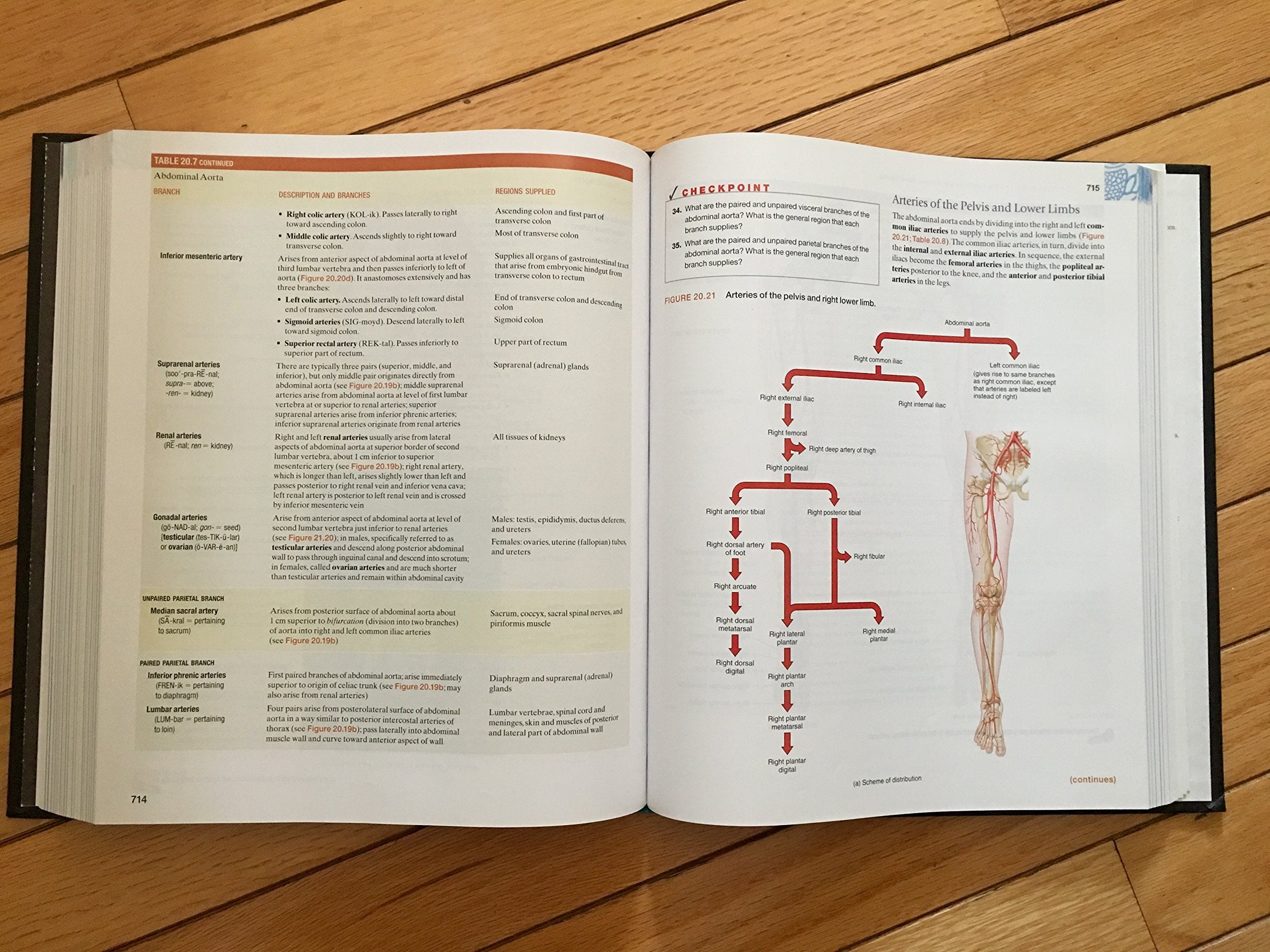 Anatomy And Physiology: From Science To Life
