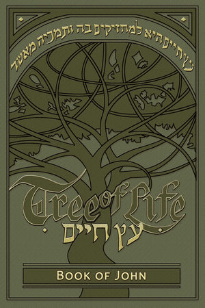 Destiny Image Tree of Life Bible: The Book of John - Engaging Faith Resource
