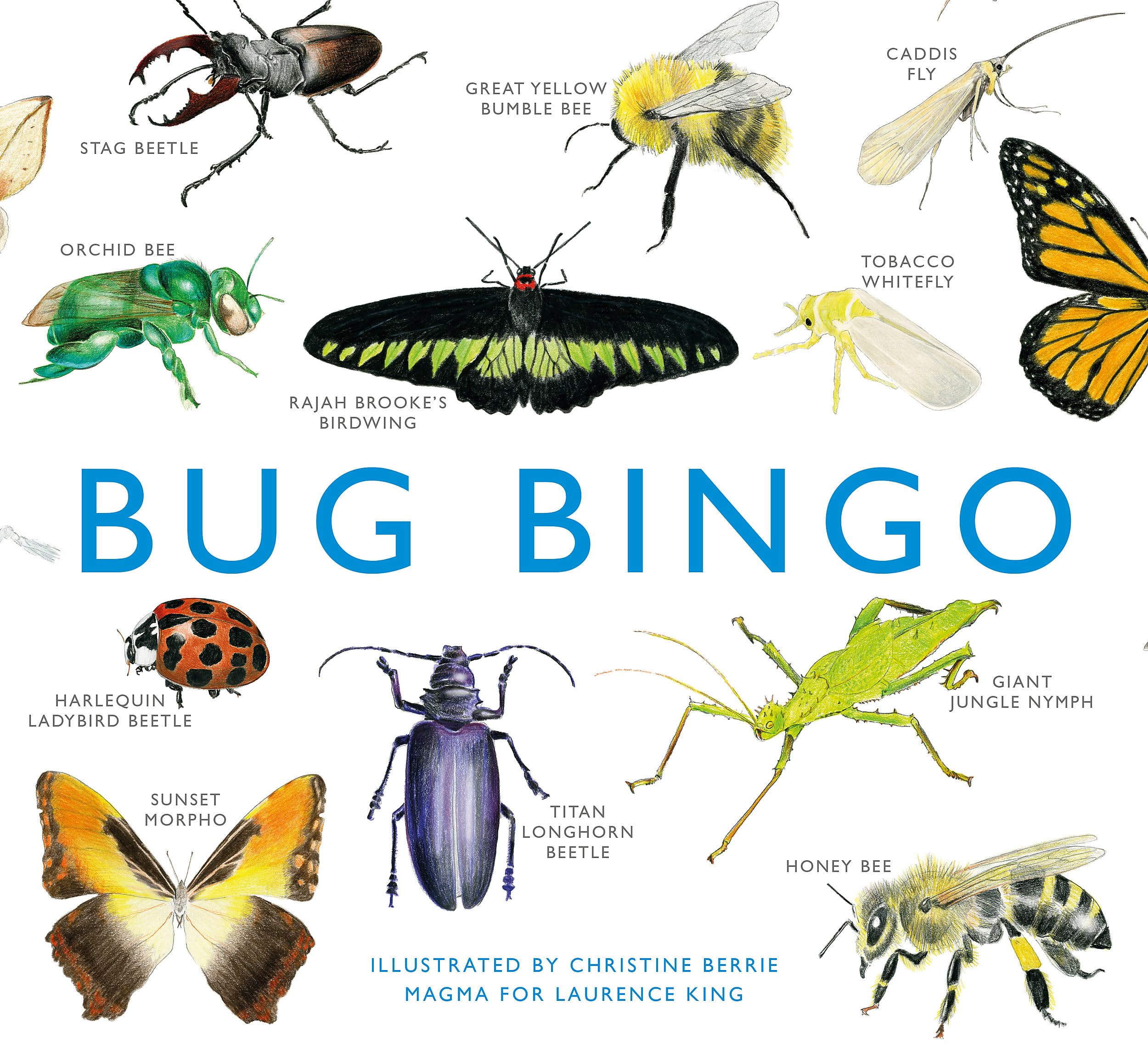 Laurence King Bug Bingo