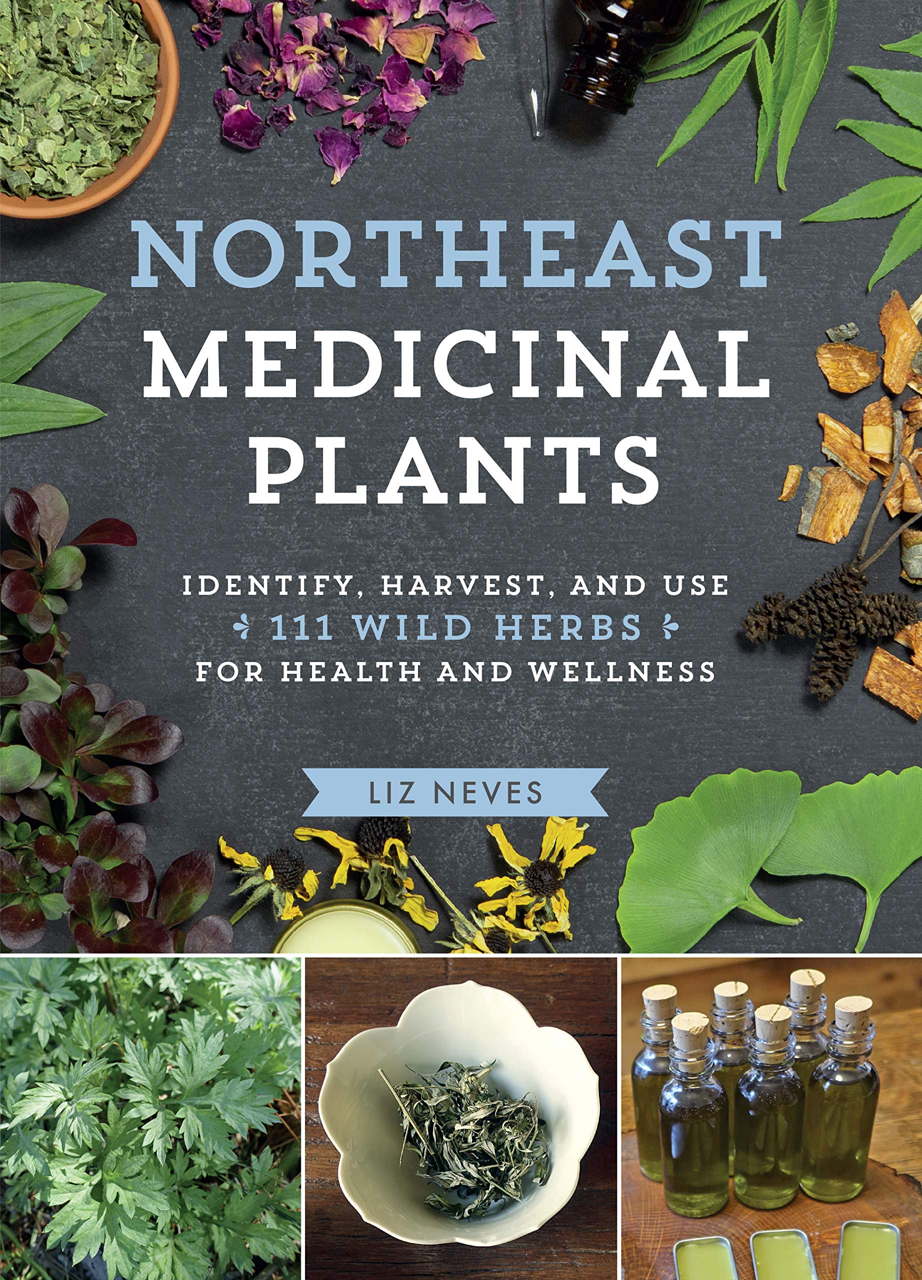 Northeast Medicinal Plants: Identify, Harvest, and Use 111 Wild Herbs for Health and Wellness (Medicinal Plants Series),New