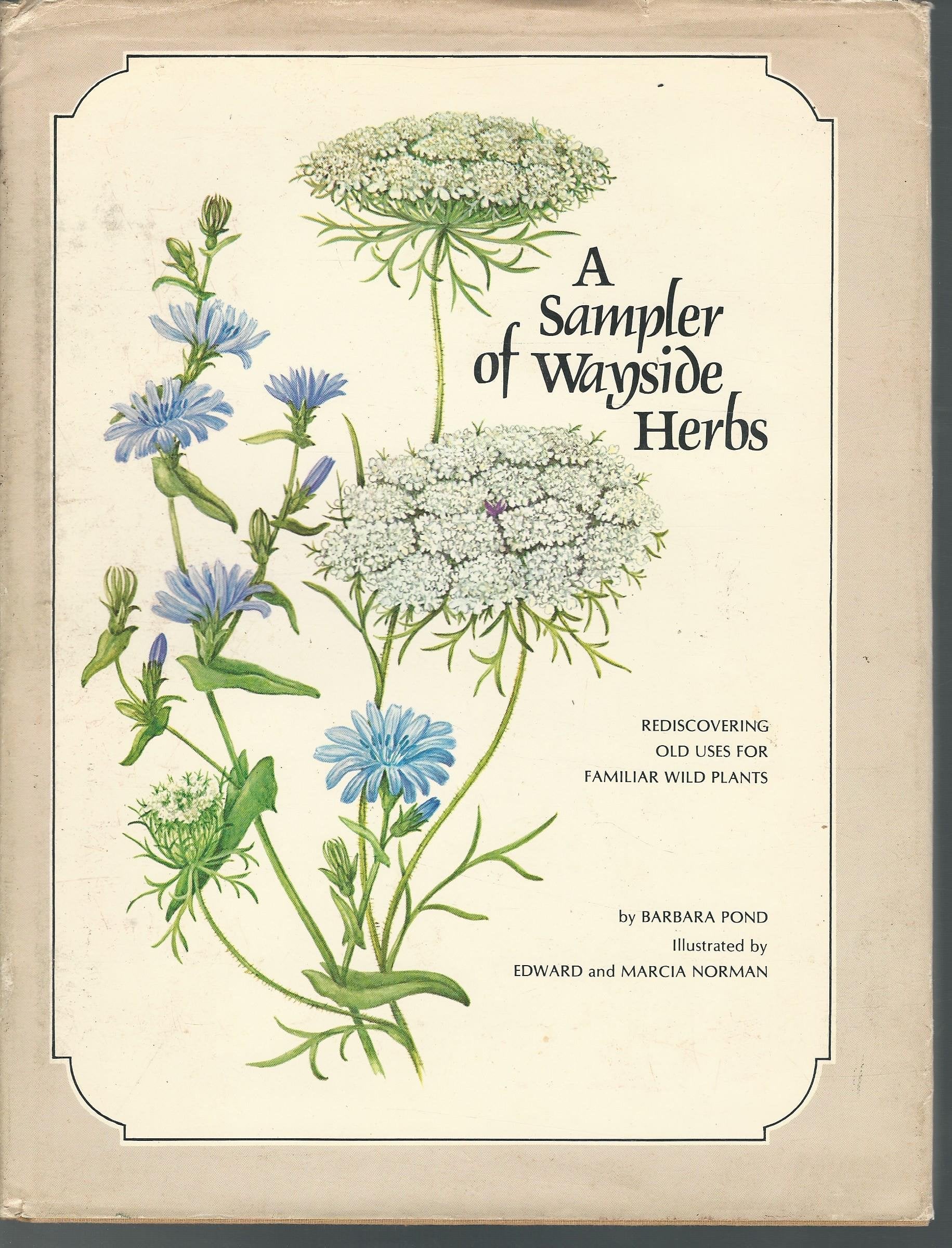 A Sampler of Wayside Herbs,Used