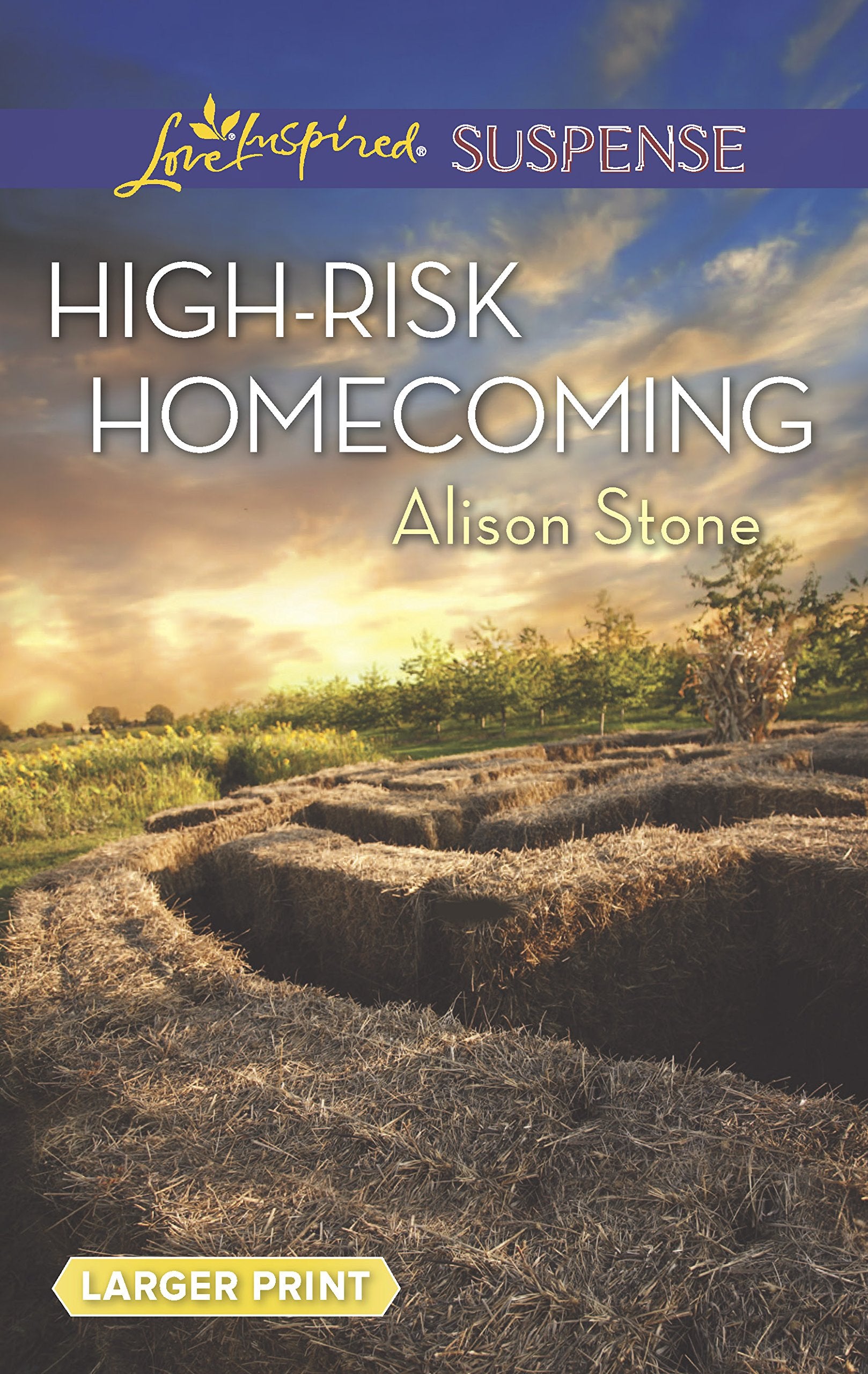 HighRisk Homecoming (Love Inspired Suspense),Used