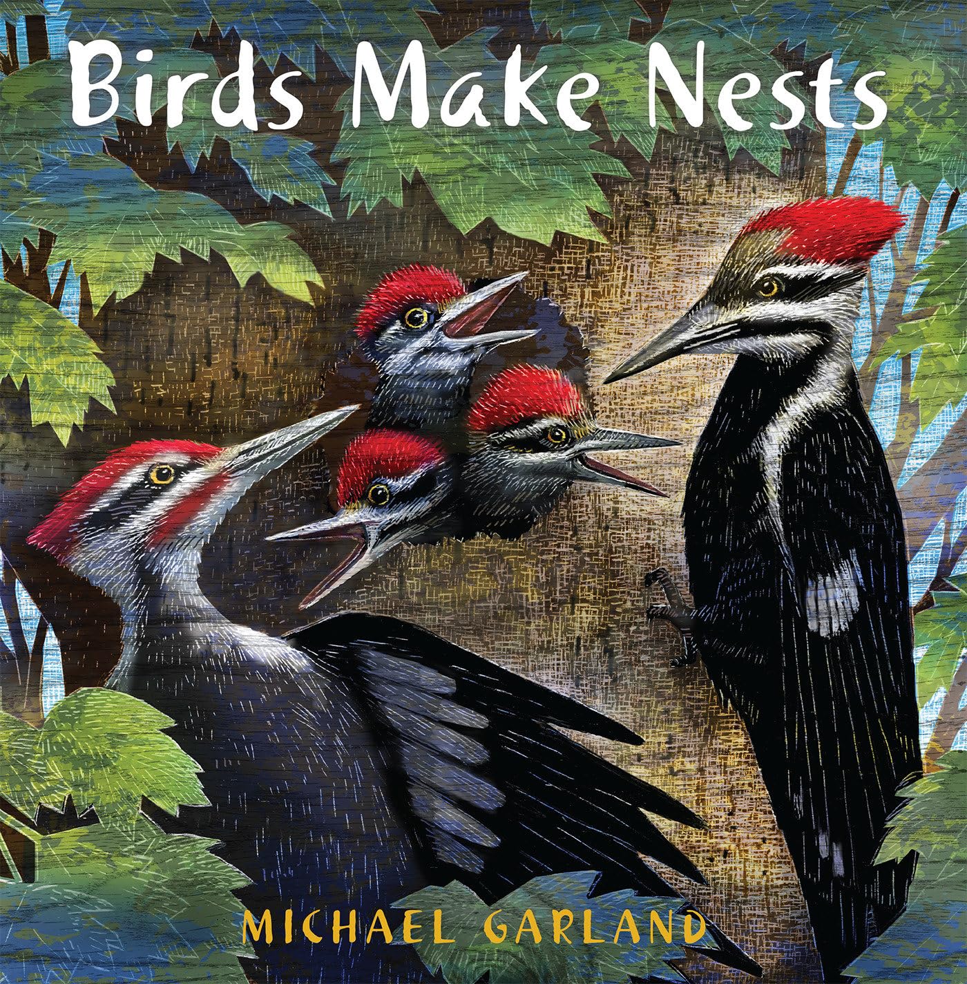 Birds Make Nests,Used