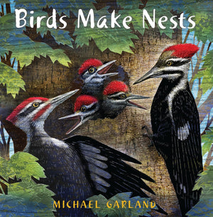 Birds Make Nests,Used