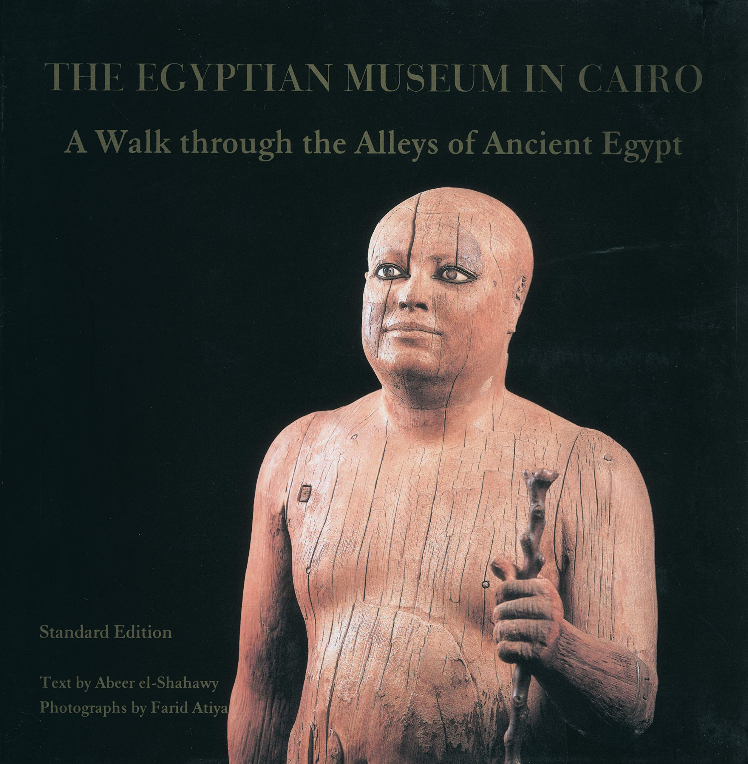 Egyptian Museum In Cairo: A Walk Through the Alleys of Ancient Egypt,Used