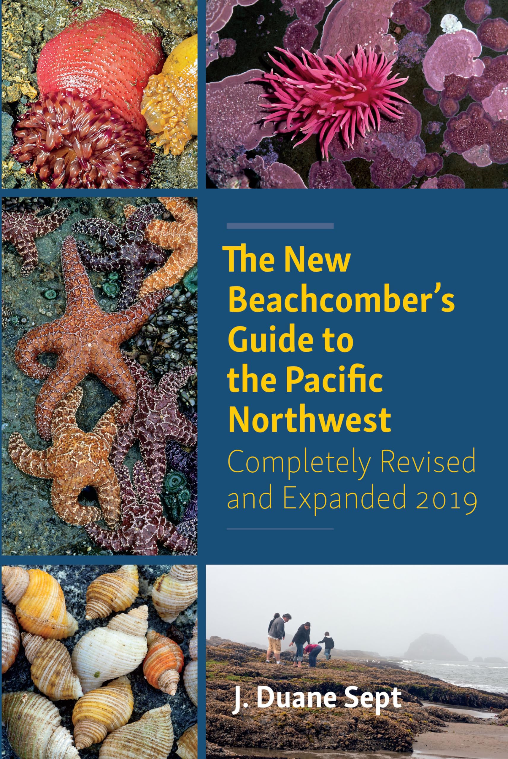 The New Beachcomber'S Guide To The Pacific Northwest