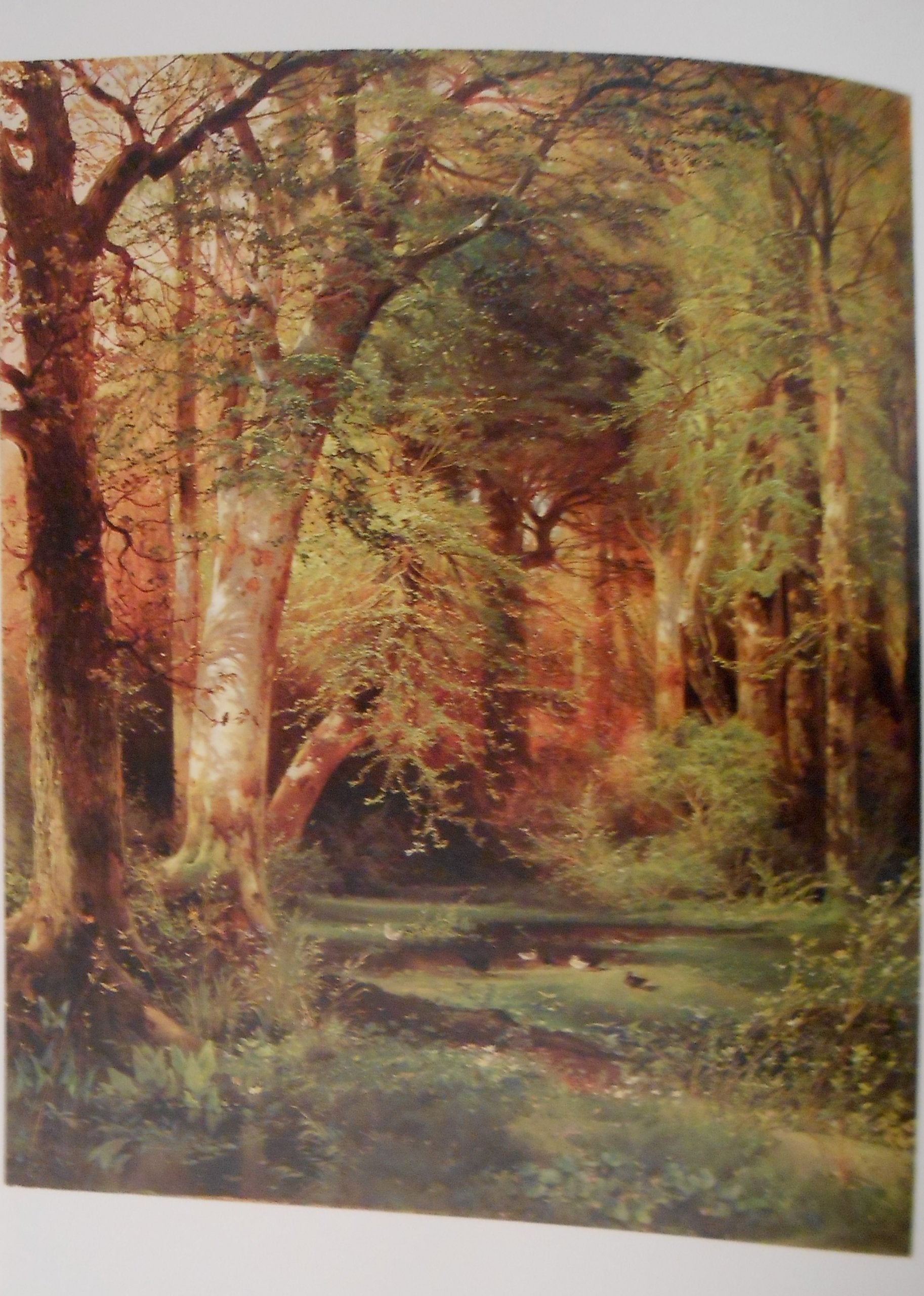 Thomas Moran,New