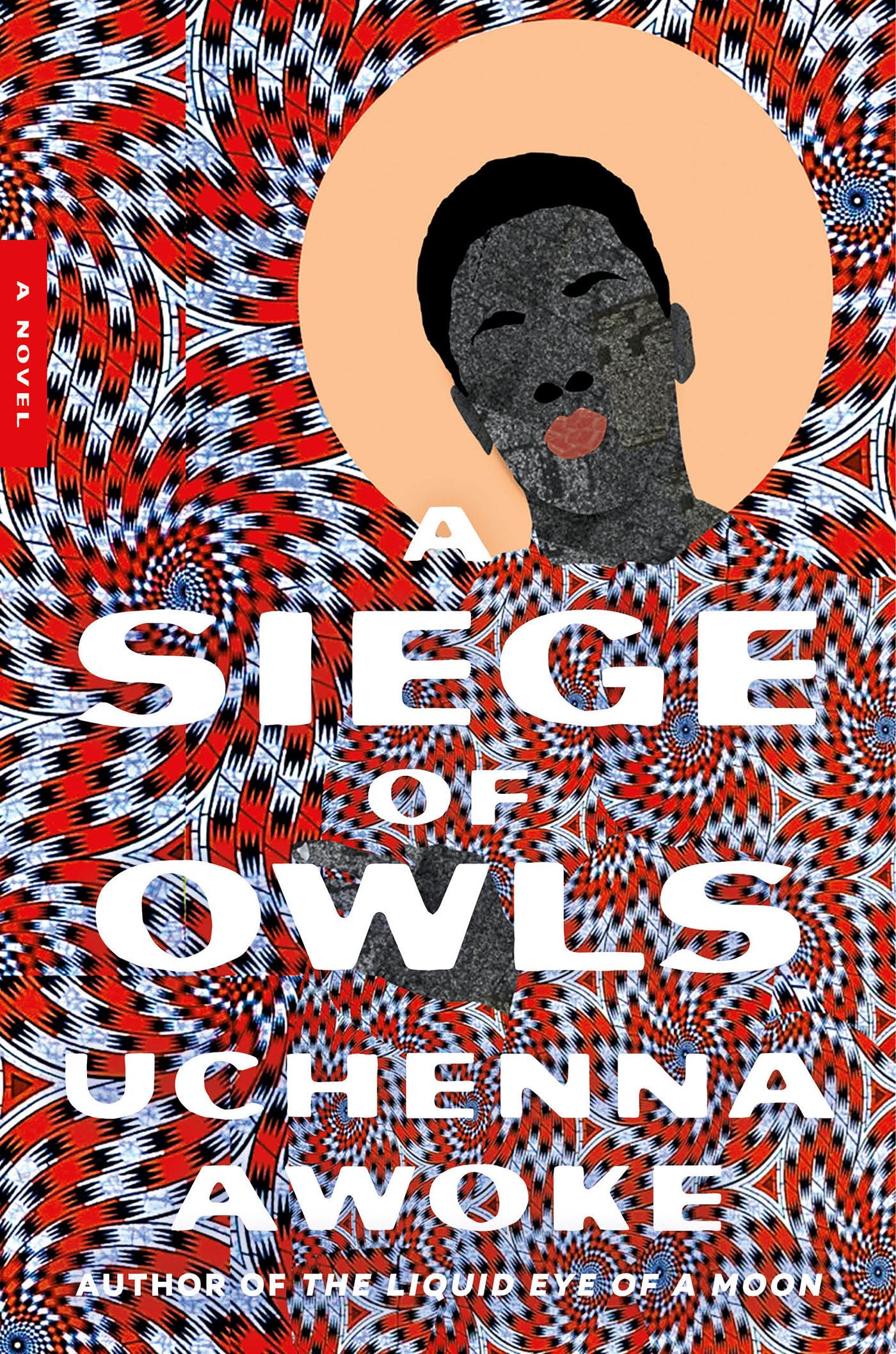 A Siege Of Owls: A Novel