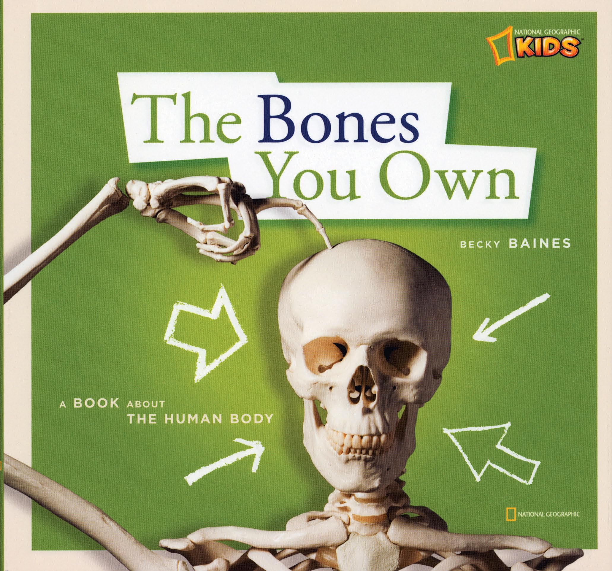 ZigZag: The Bones You Own,Used