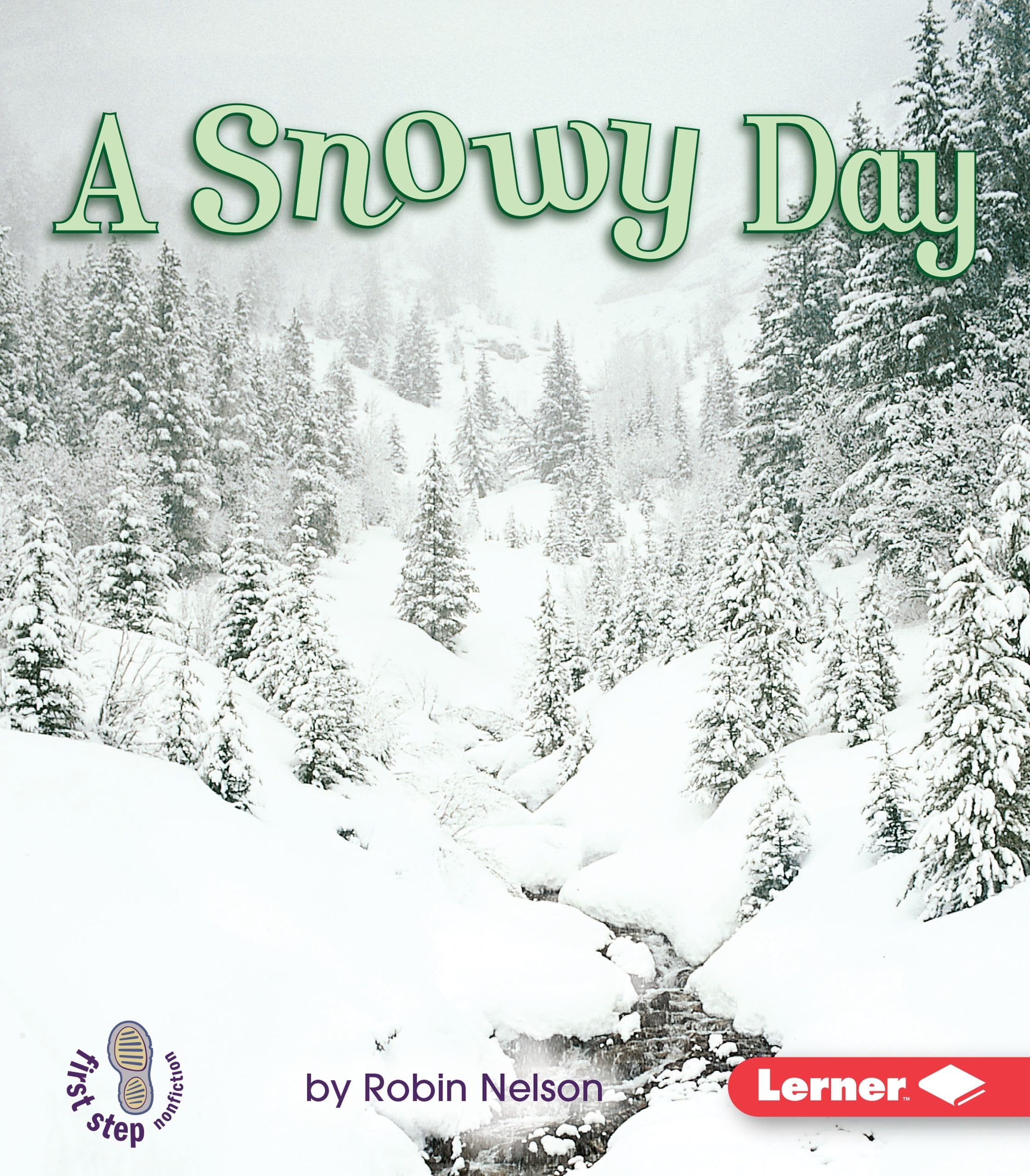 A Snowy Day (First Step Nonfiction  Weather),Used