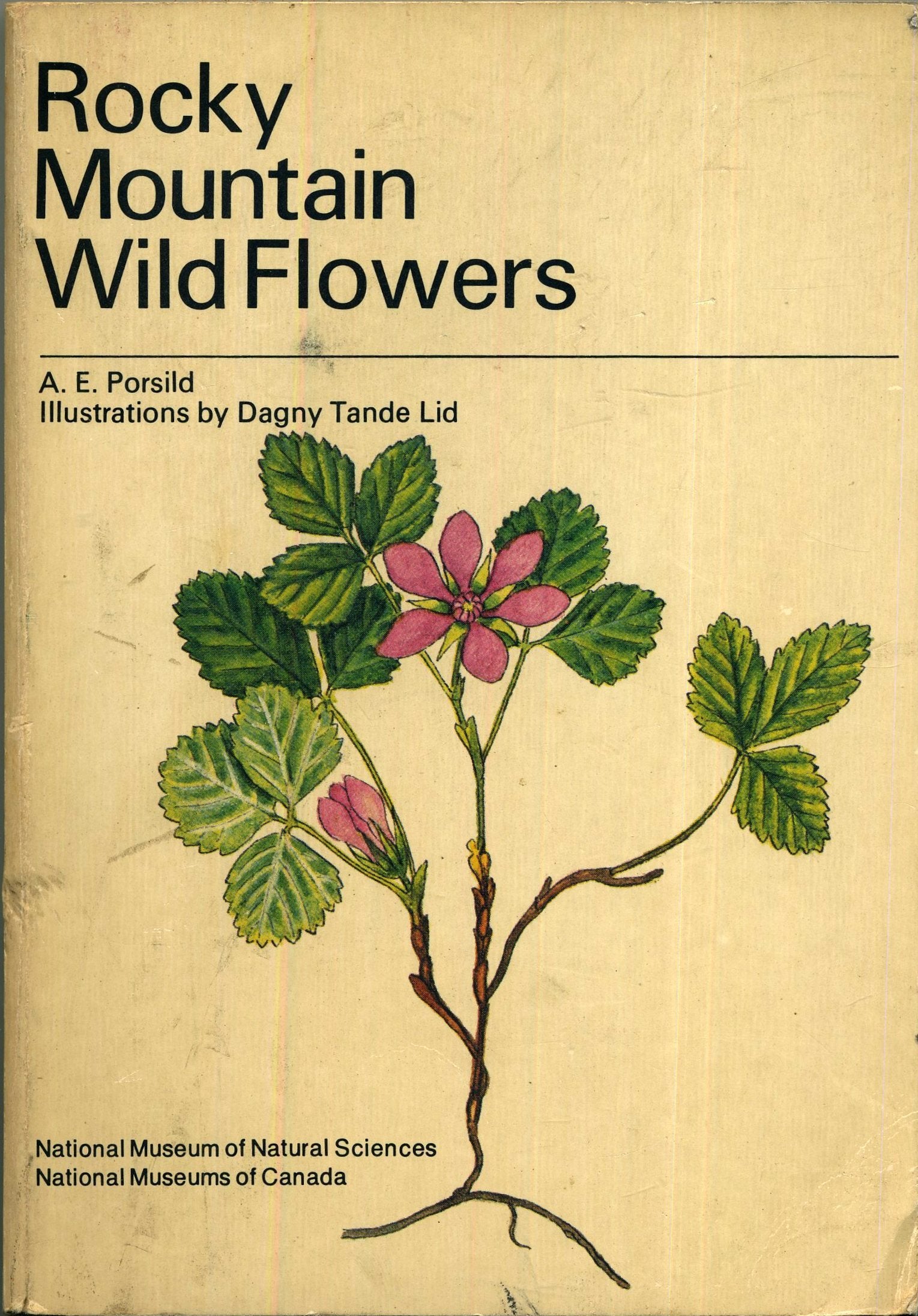 Rocky Mountain Wild Flowers,Used