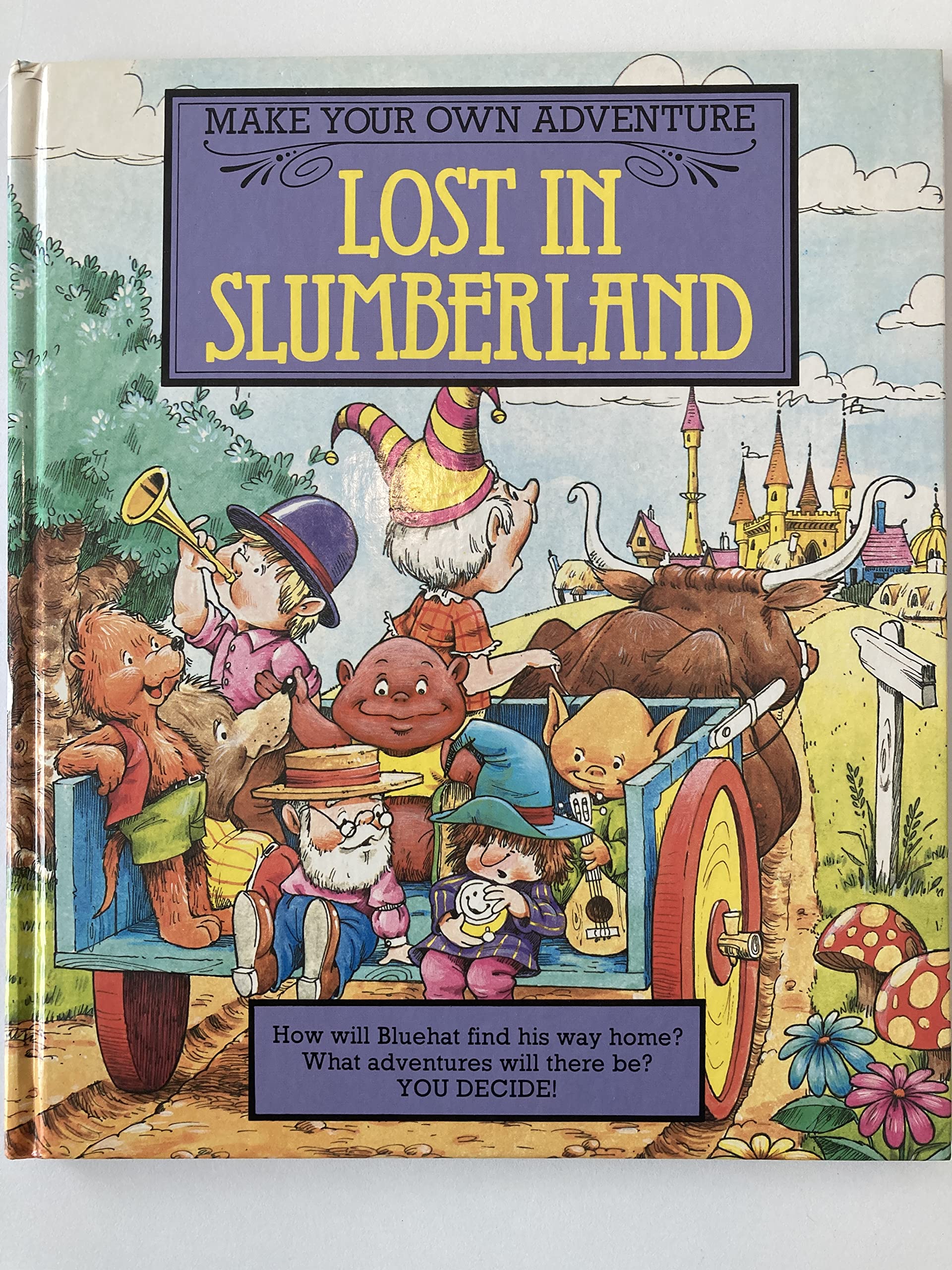 Lost In Slumberland : Make Your Own Adventure,Used