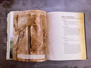 A Survey of the Old Testament,New