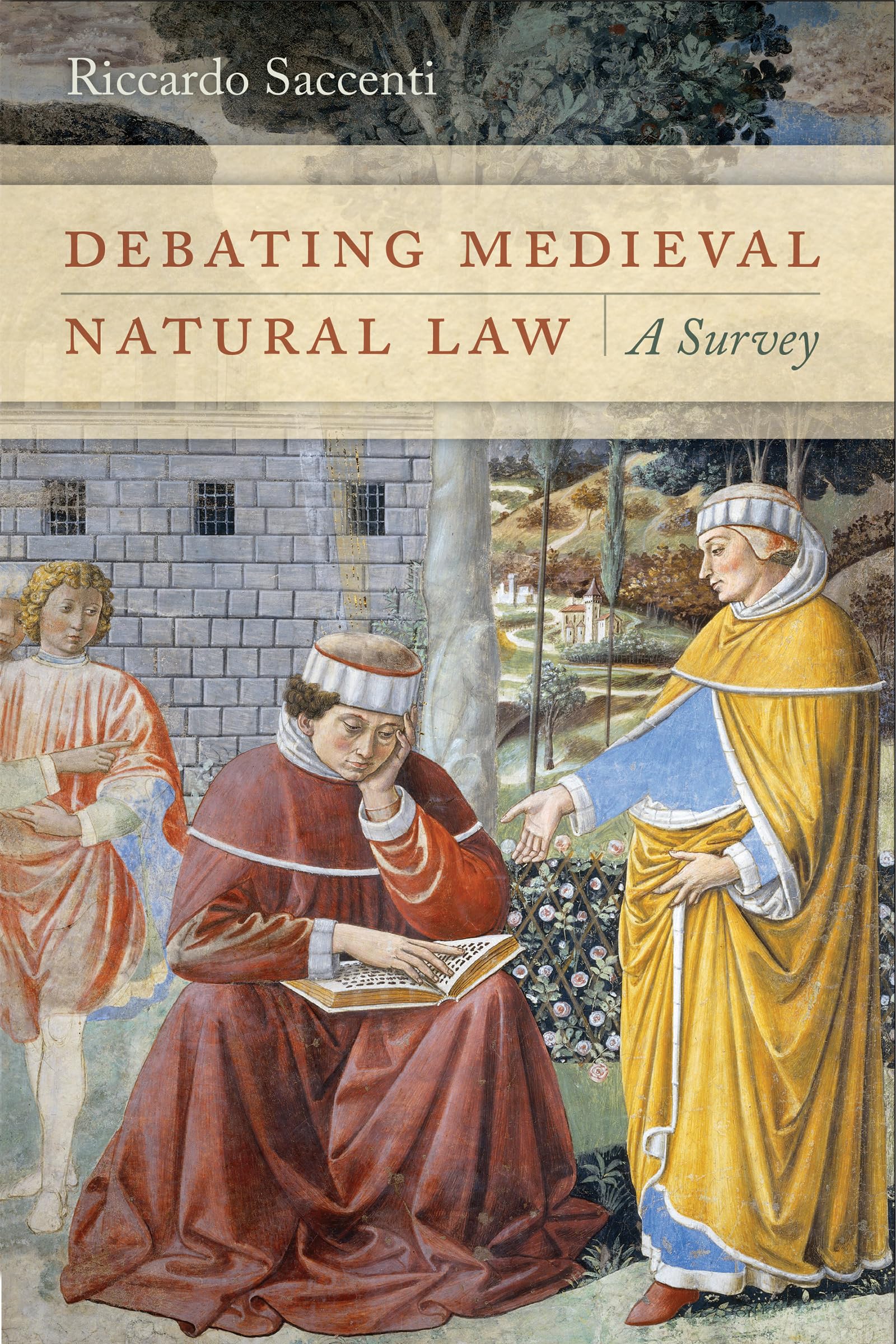 Debating Medieval Natural Law: A Survey,Used