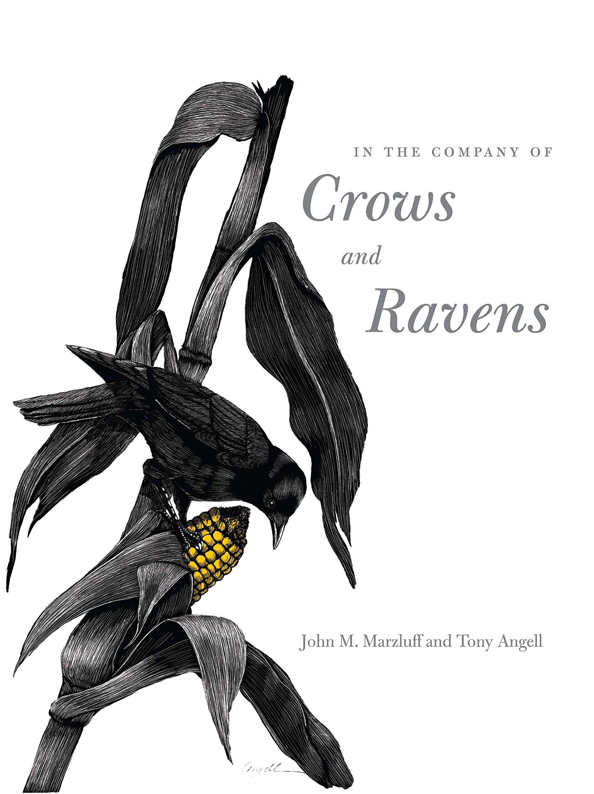In the Company of Crows and Ravens,Used