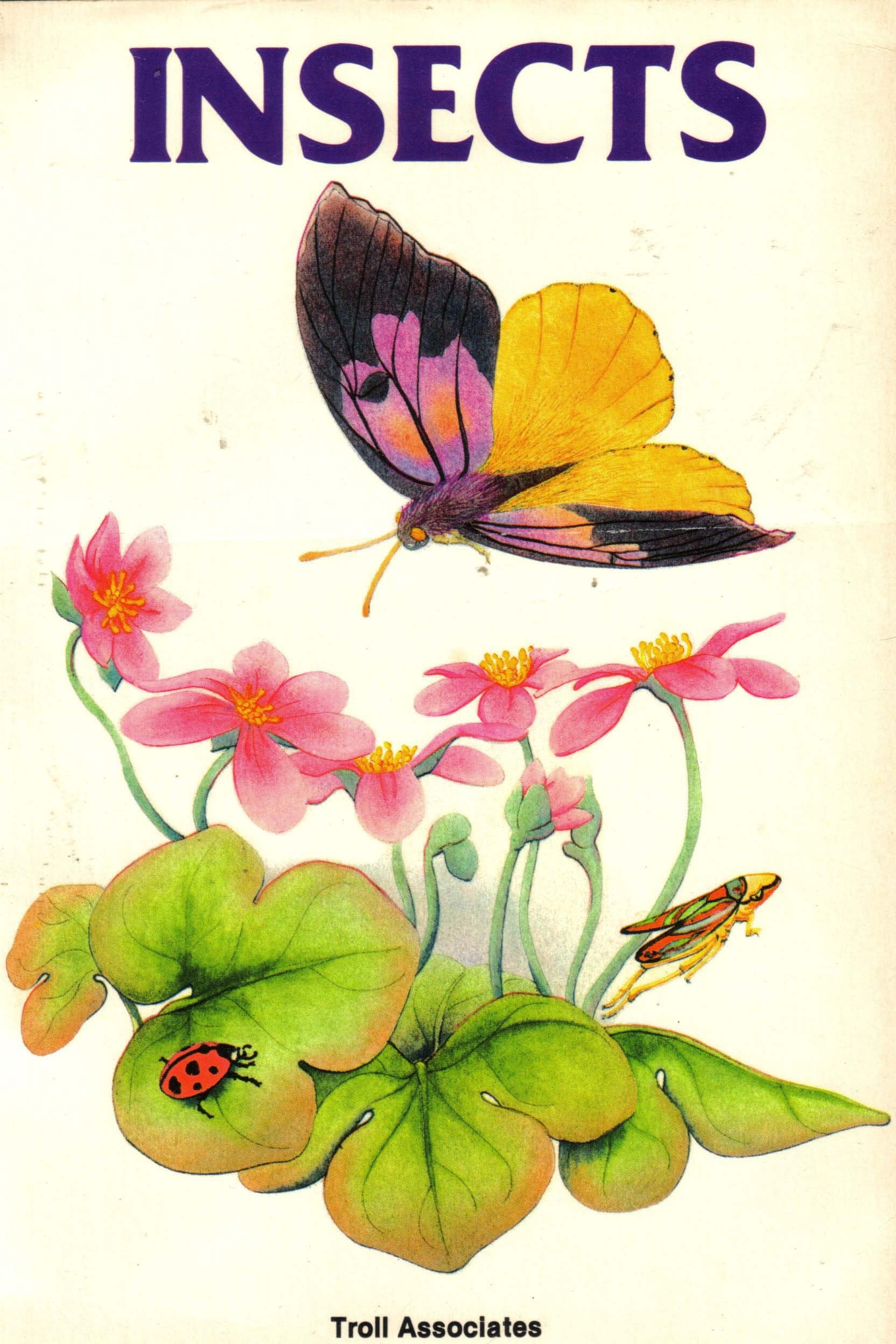Insects (Creatures That Walk, Swim or Fly),Used