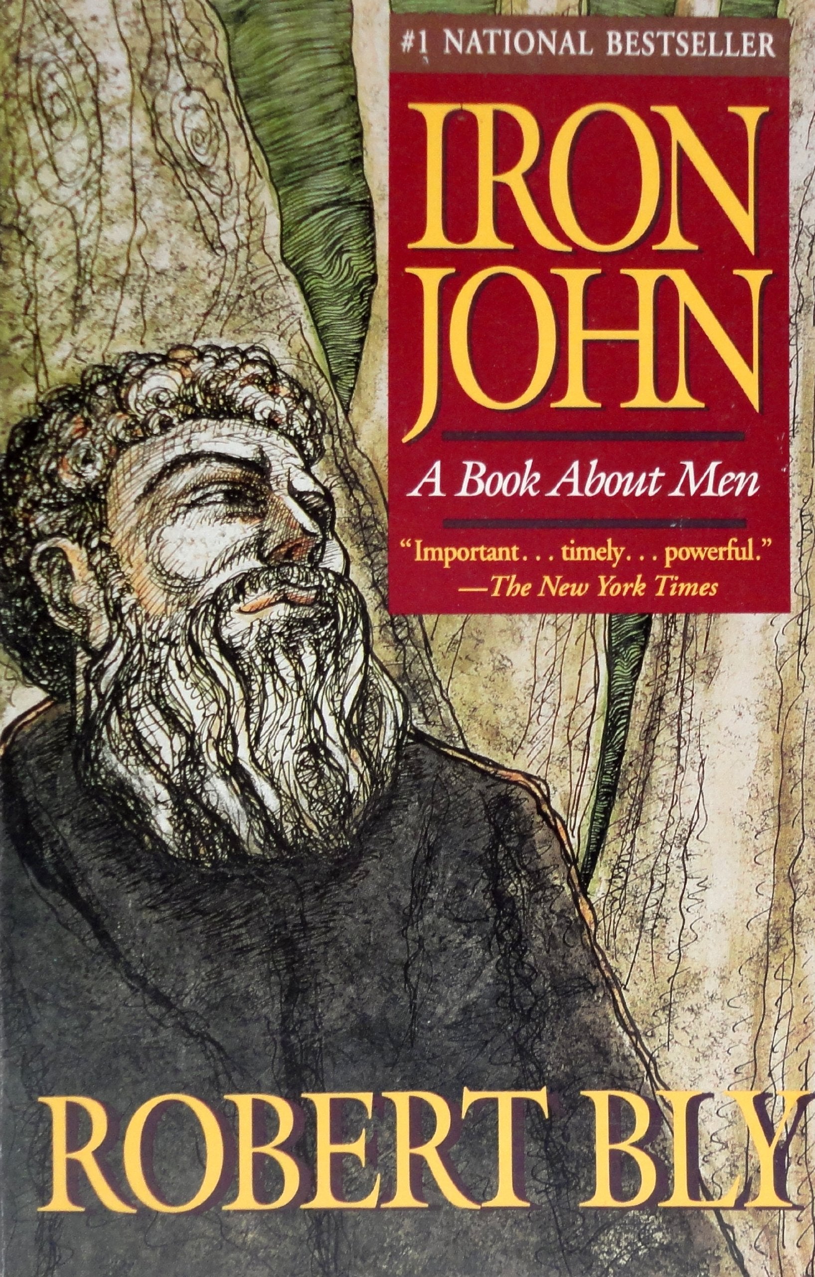 Iron John: A Book About Men,New