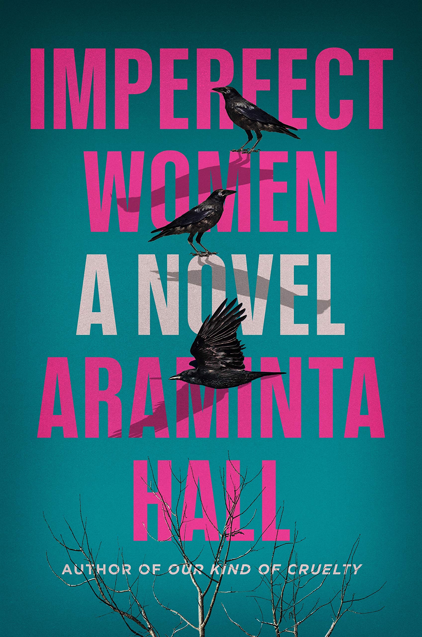 Imperfect Women: A Novel,Used